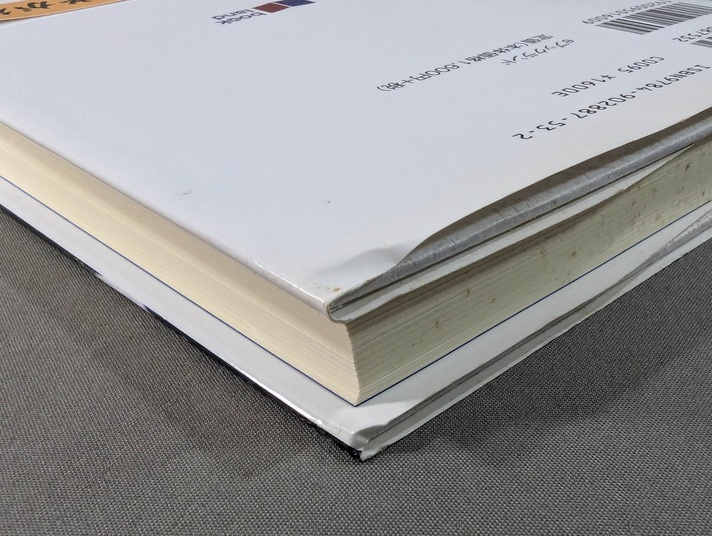 平成の宮本武蔵 二宮城光