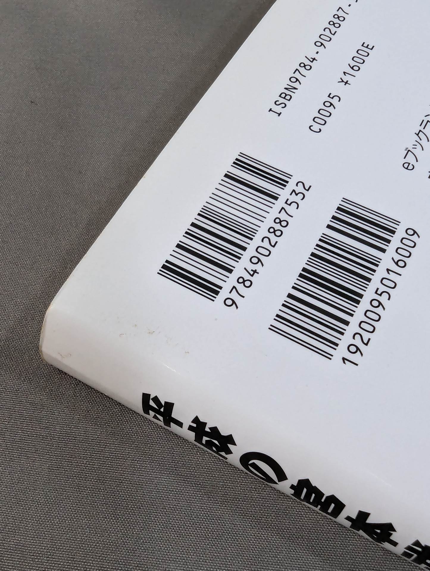 平成の宮本武蔵 二宮城光