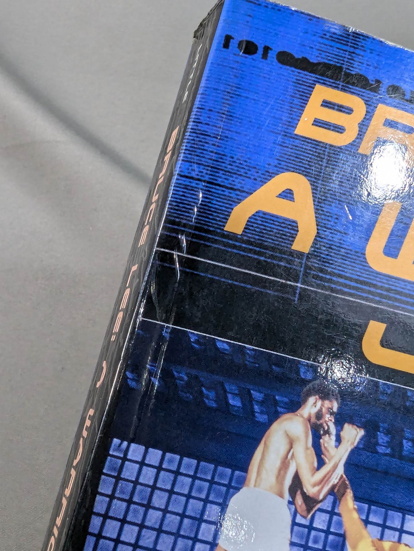 BRUCE LEE A WARRIOR’S JOURNEY