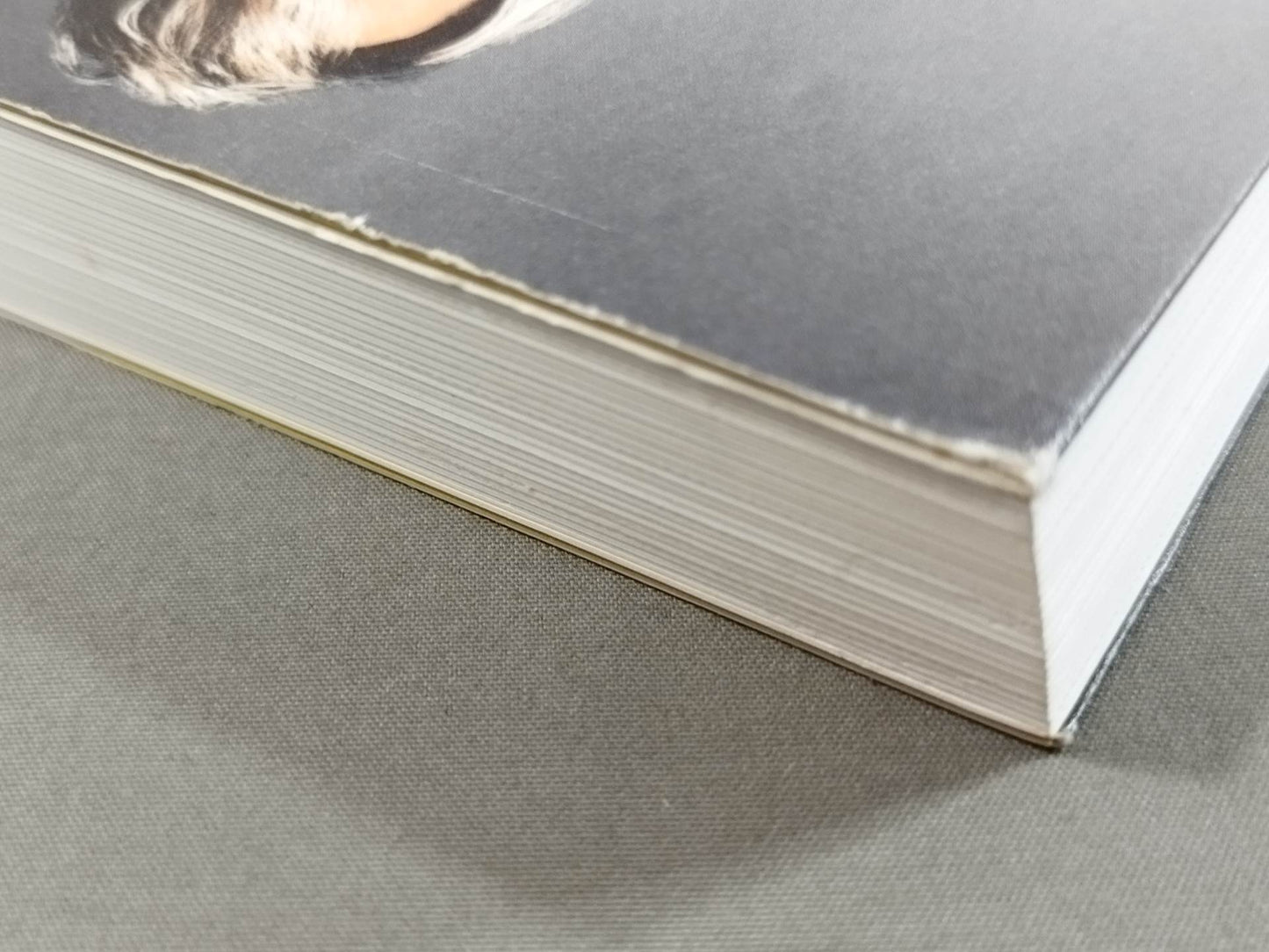 HIGH LIFE Hiroshi Tanahashi Autobiography I.