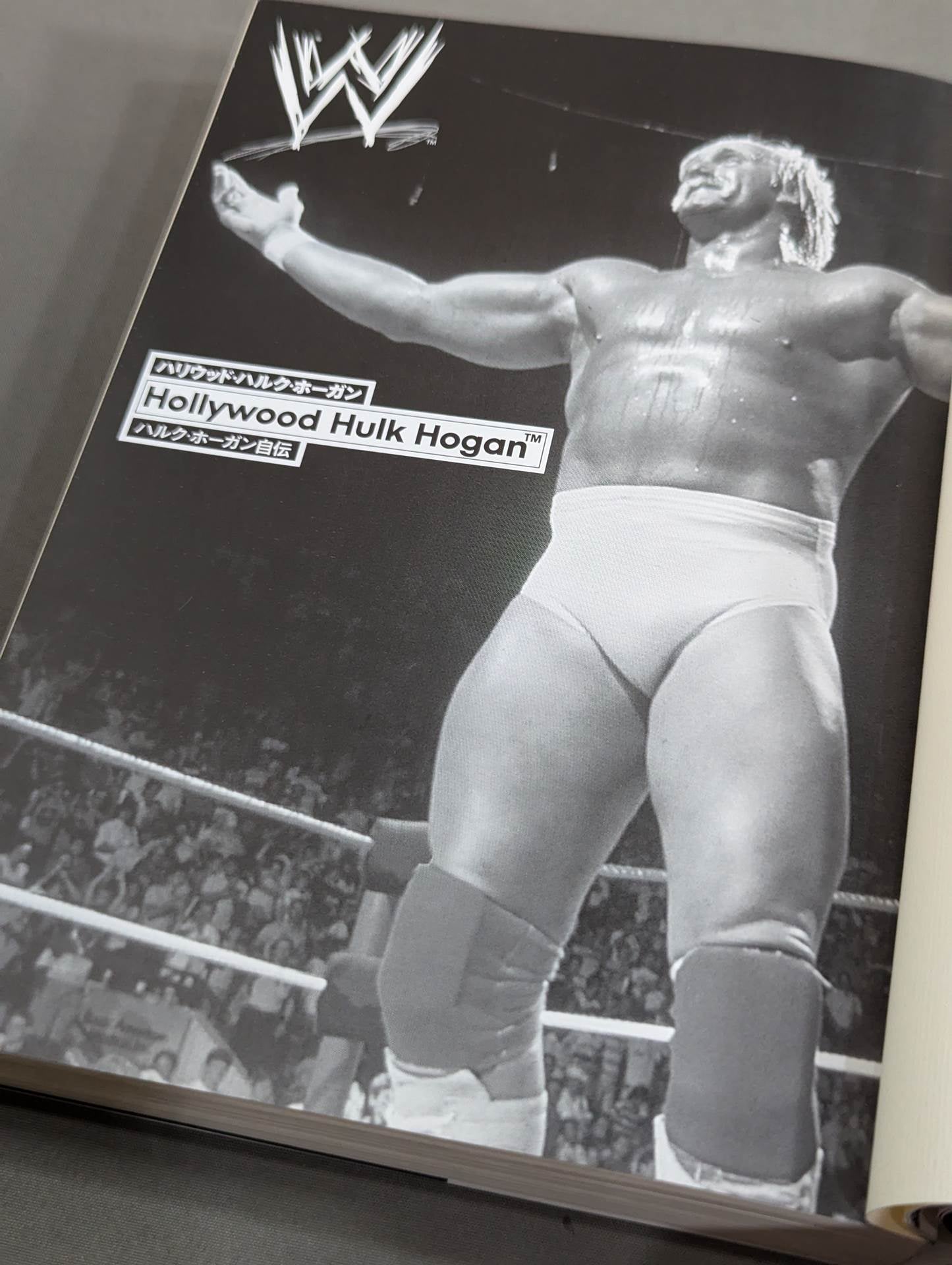 Hulk Hogan  Autobiography Hollywood Hulk Hogan