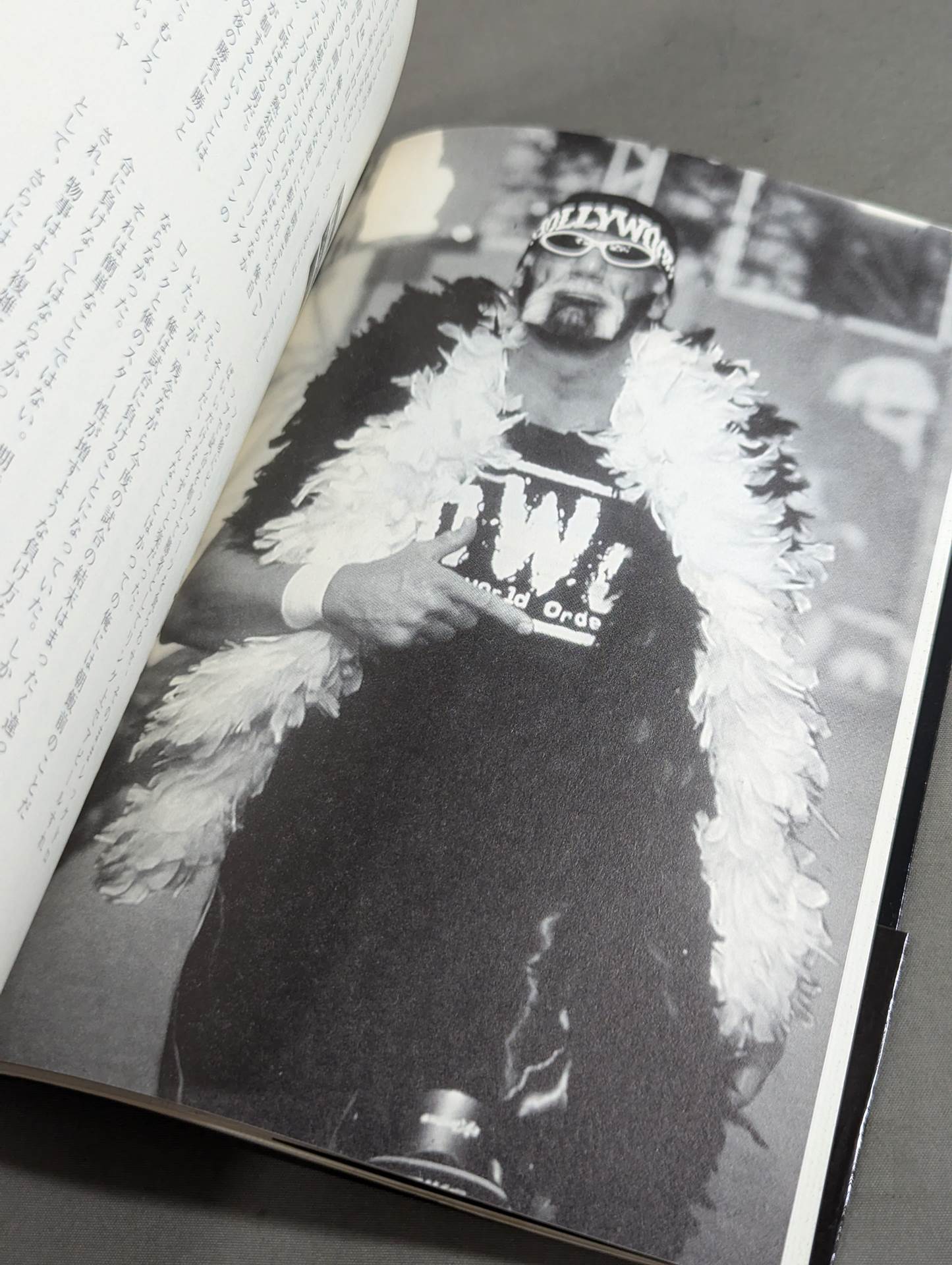 Hulk Hogan  Autobiography Hollywood Hulk Hogan