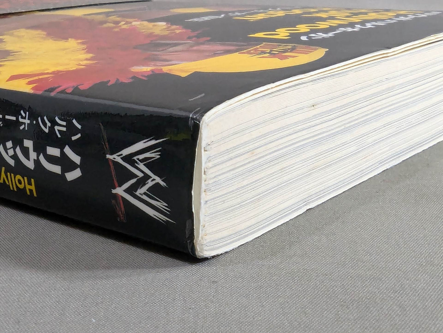 Hulk Hogan  Autobiography Hollywood Hulk Hogan