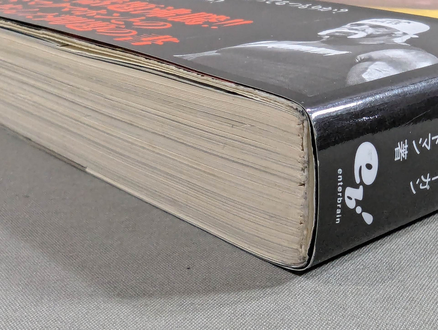 Hulk Hogan  Autobiography Hollywood Hulk Hogan