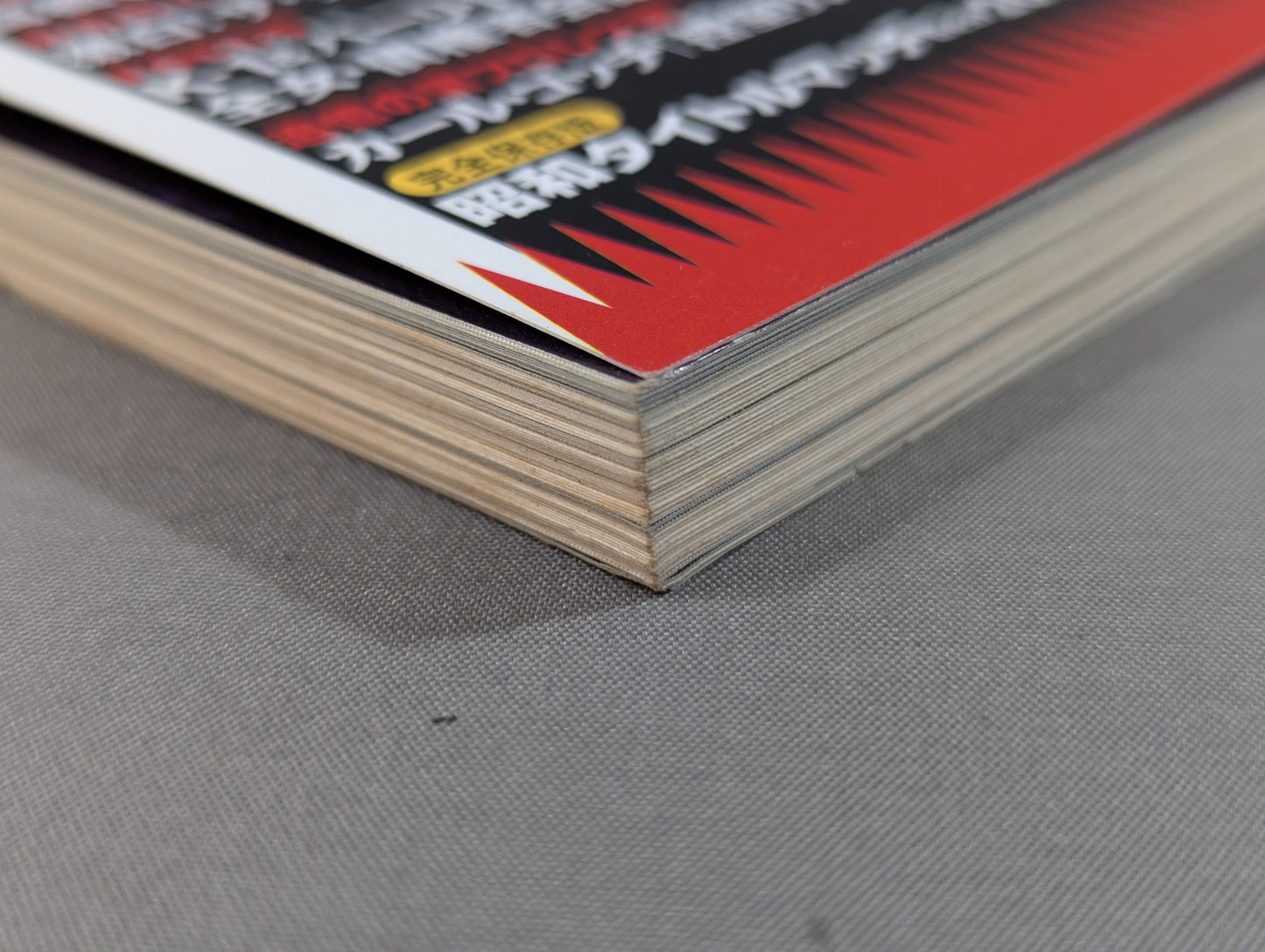 Bessatsu Takarajima Special Edition Pro Wrestling Reader Files Vol.5