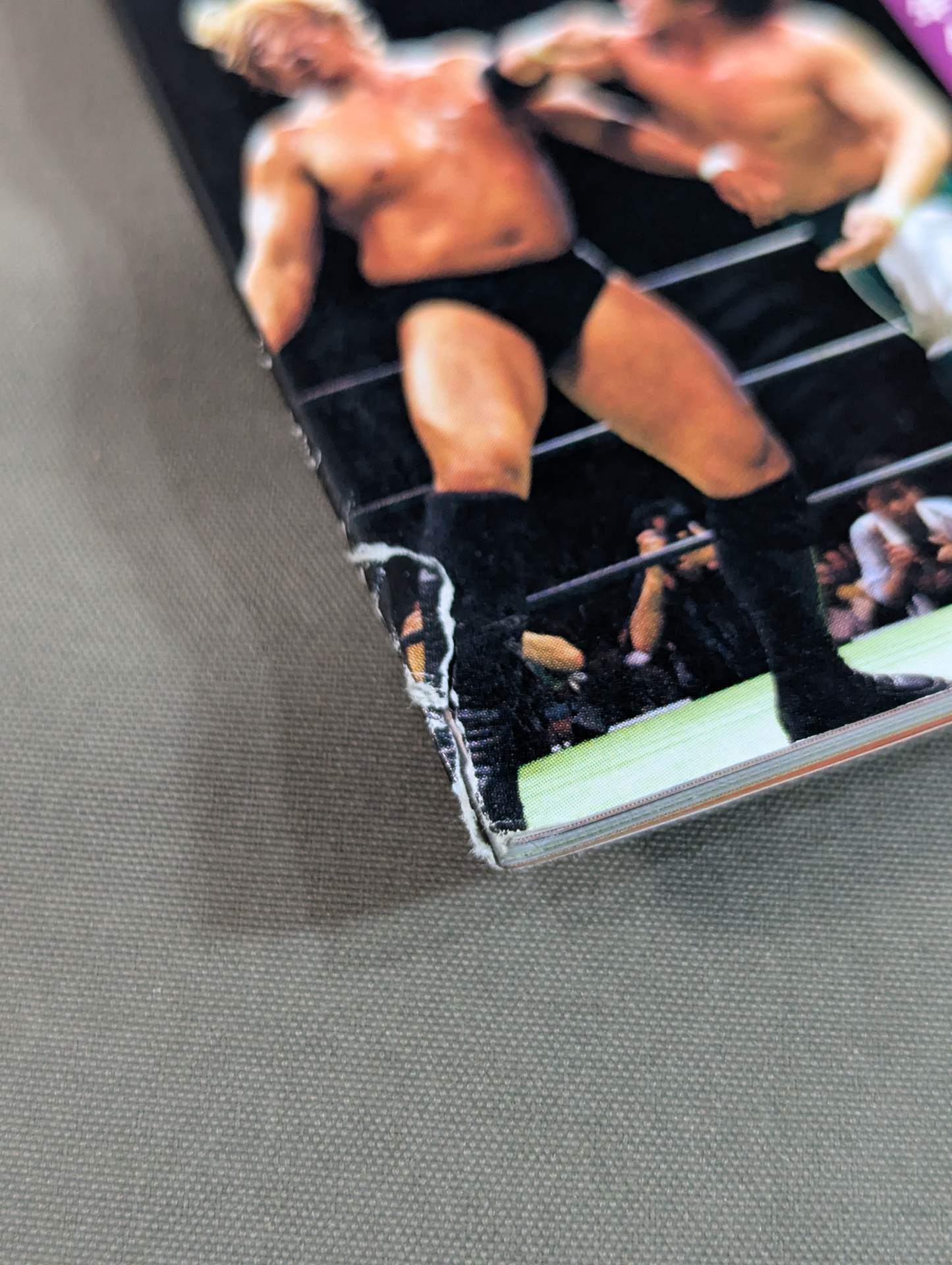 日本プロレス激闘60年史 (7)