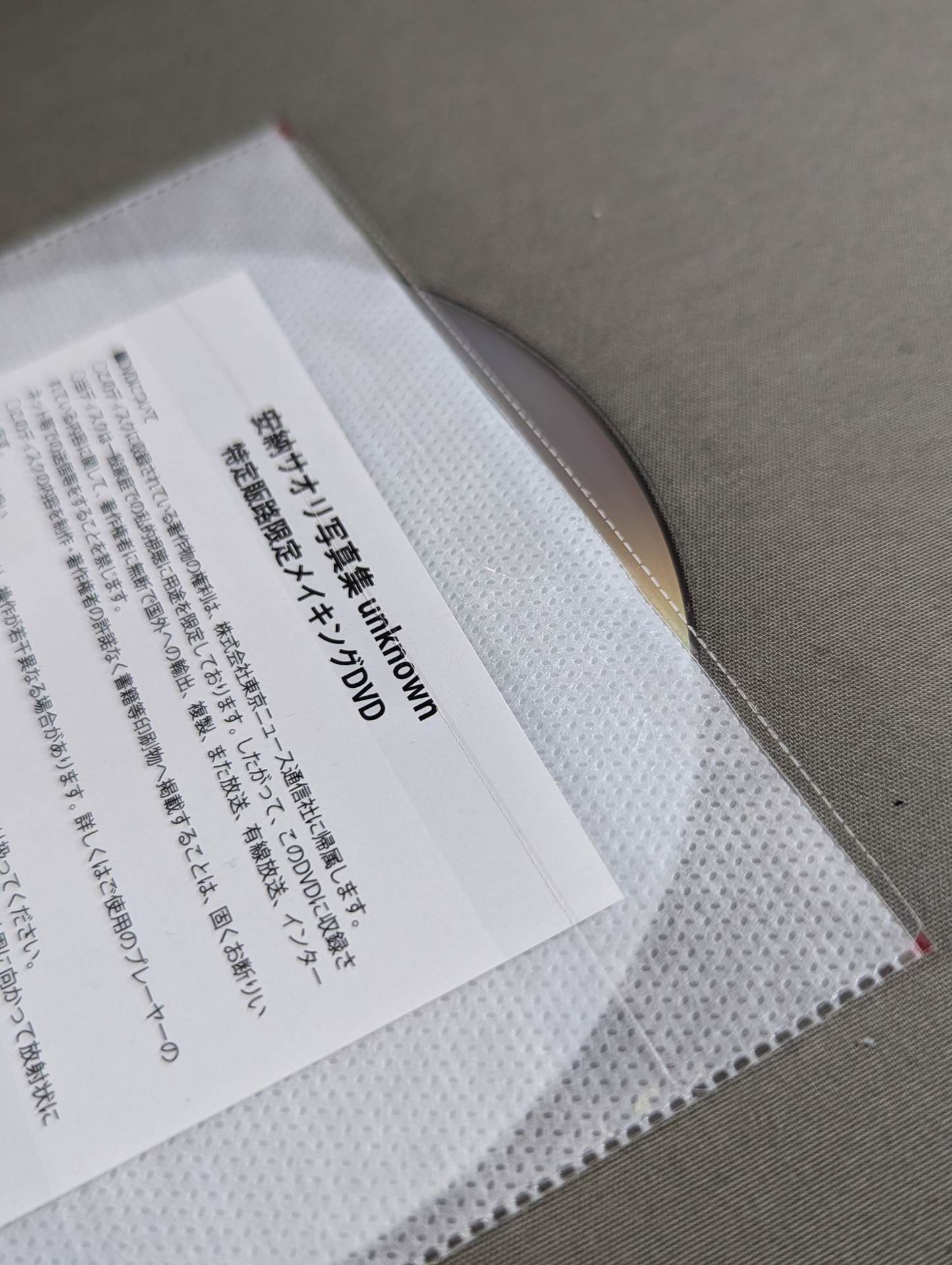 【限定DVD付】安納サオリ 写真集 unknown