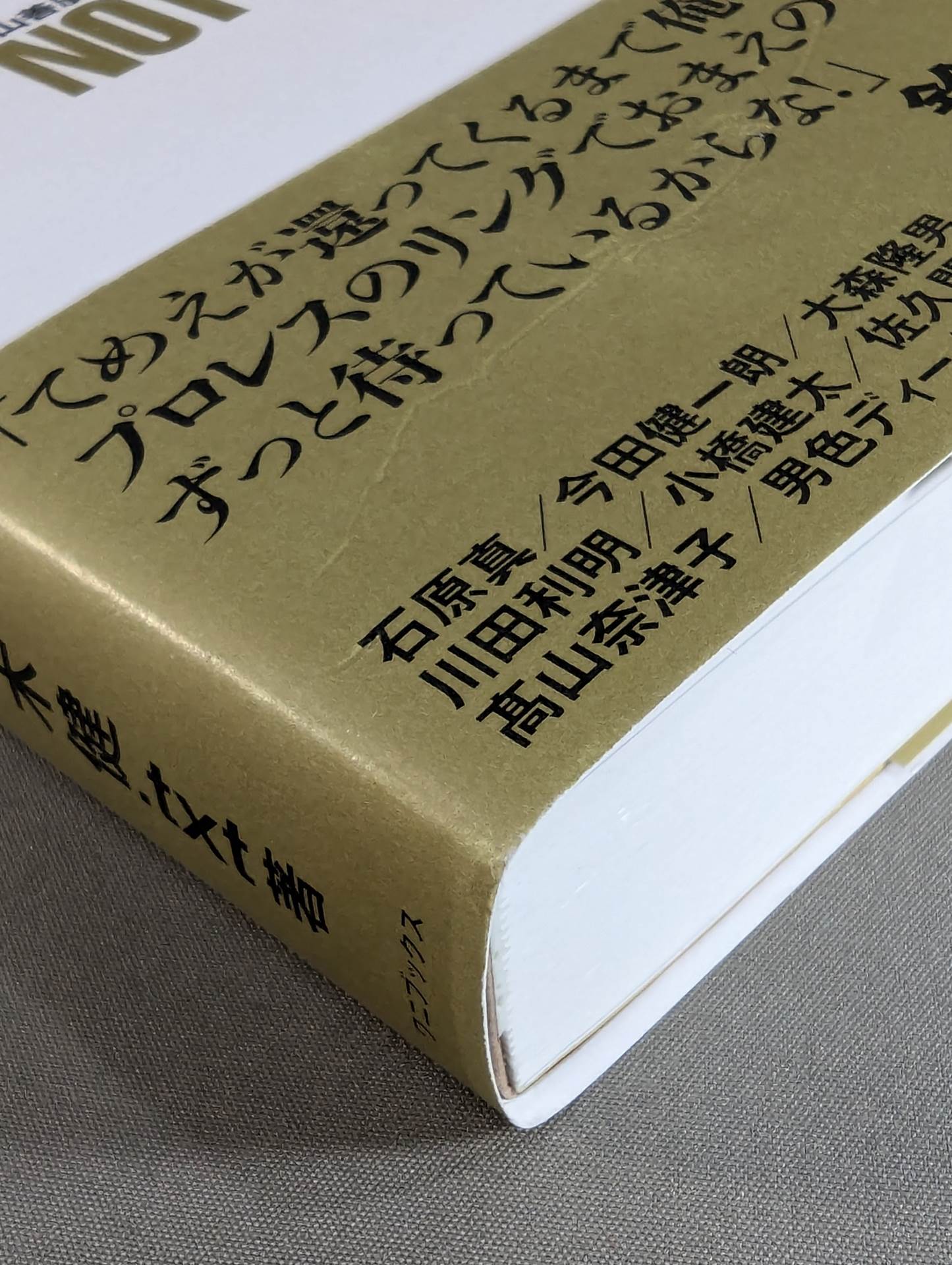 髙山善廣評伝 NO FEAR ノーフィアー
