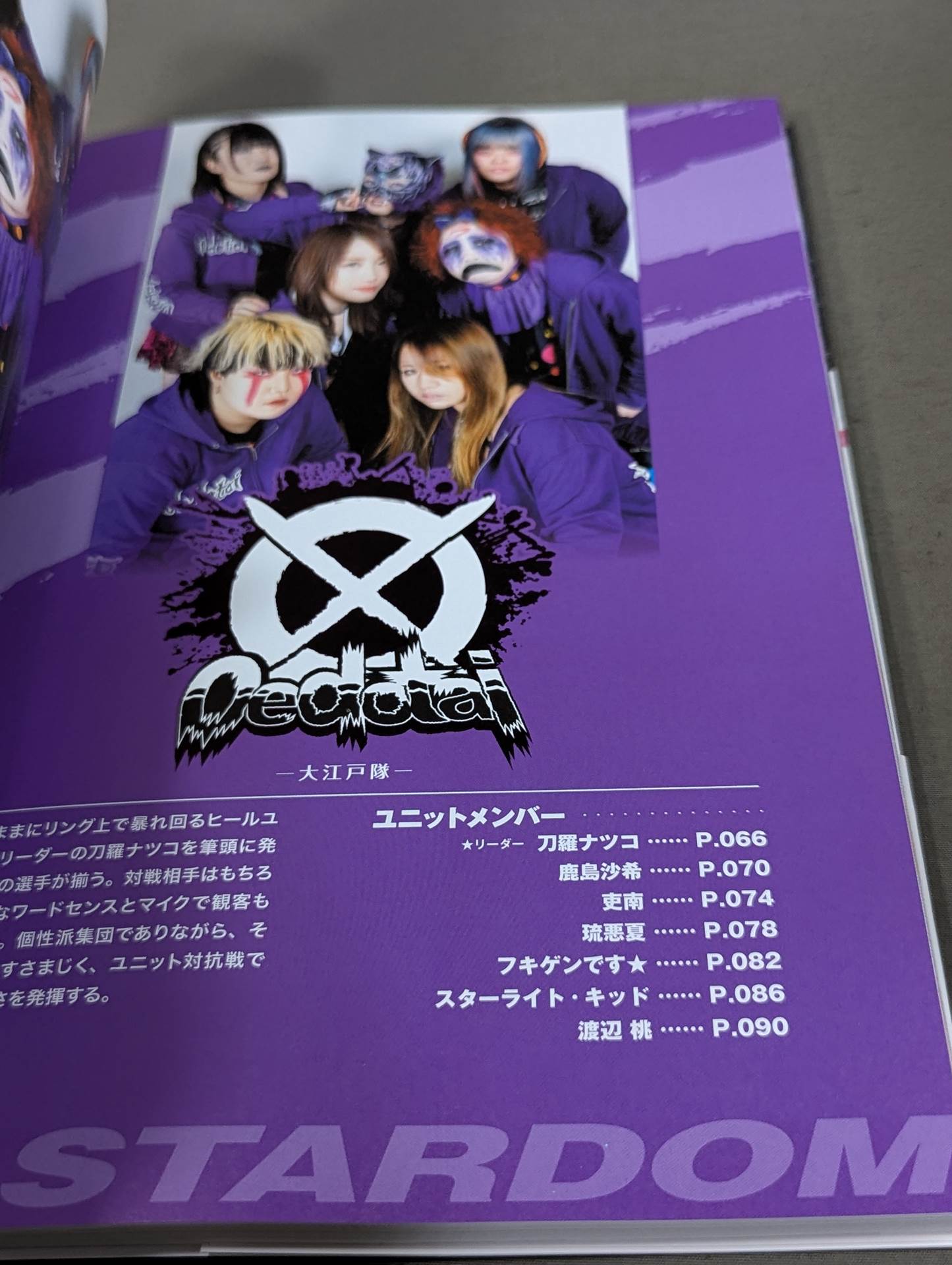 スターダム ファンブック / STARDOM FANBOOK
