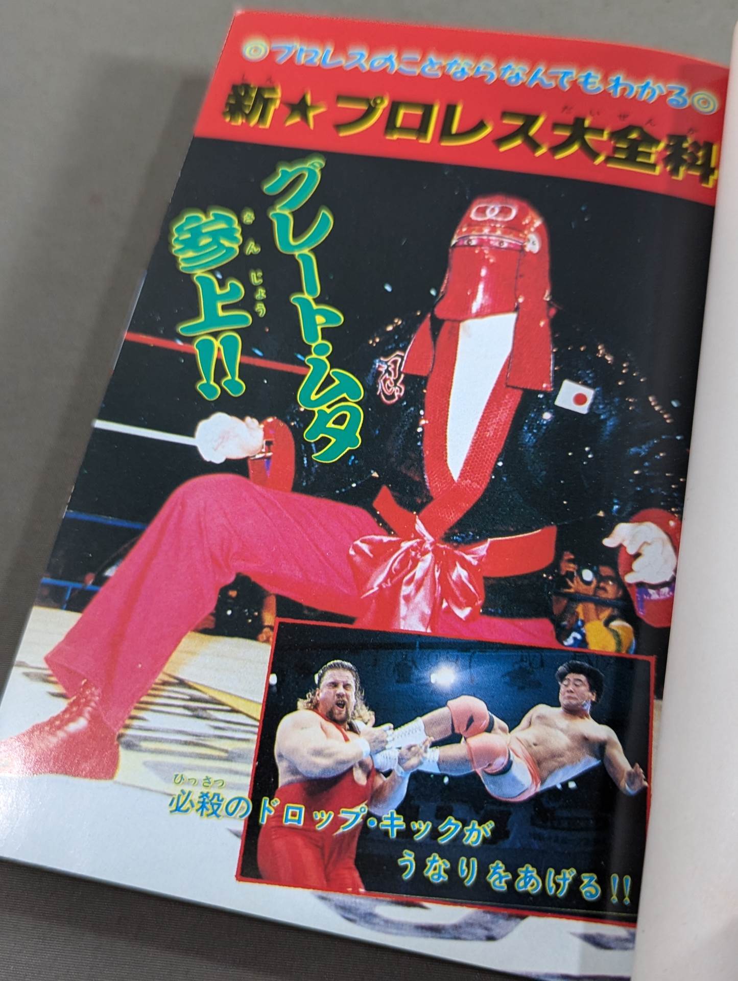 New Pro Wrestling