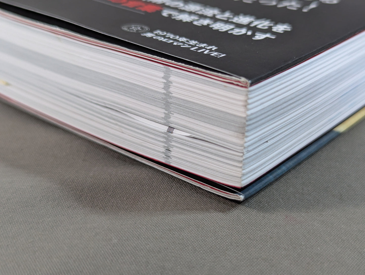 【著者 直筆サイン&ブロマイド入り】格闘家 アントニオ猪木 ファイティングアーツを極めた男