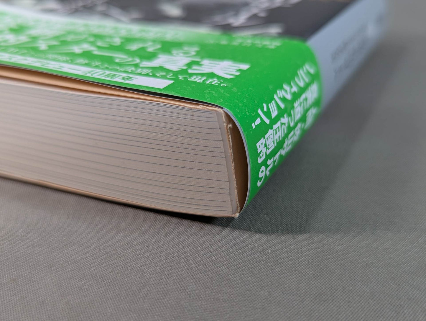 True theory: Satoru Sayama The Man Called Tiger Mask