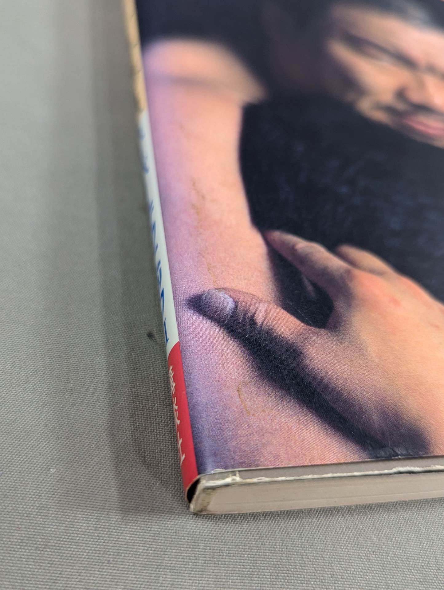 藤原喜明の必殺十番勝負 スーパー・テクニックⅡ