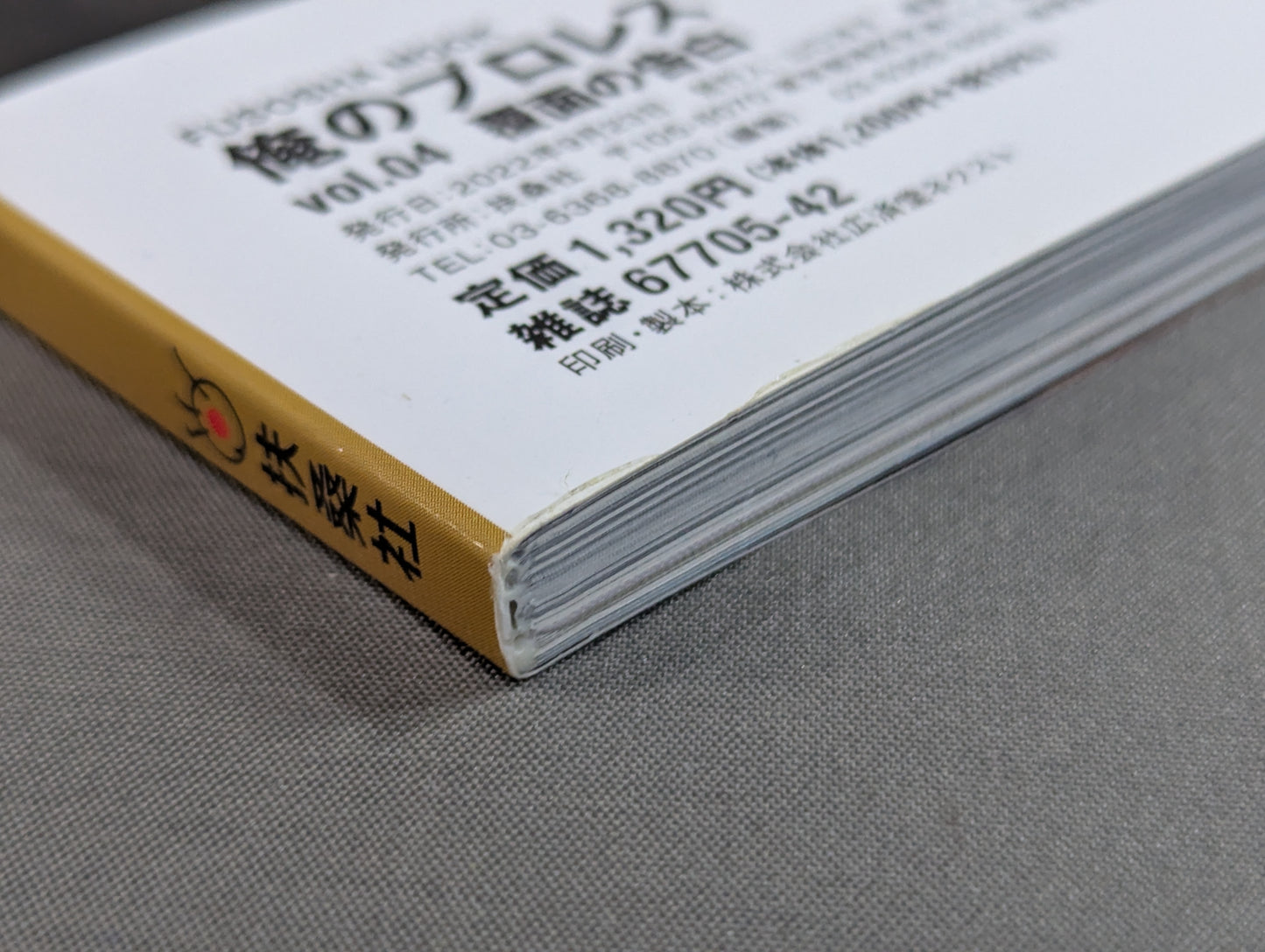 My Pro Wrestling vol.04 Masked Confession What was happening at that time?