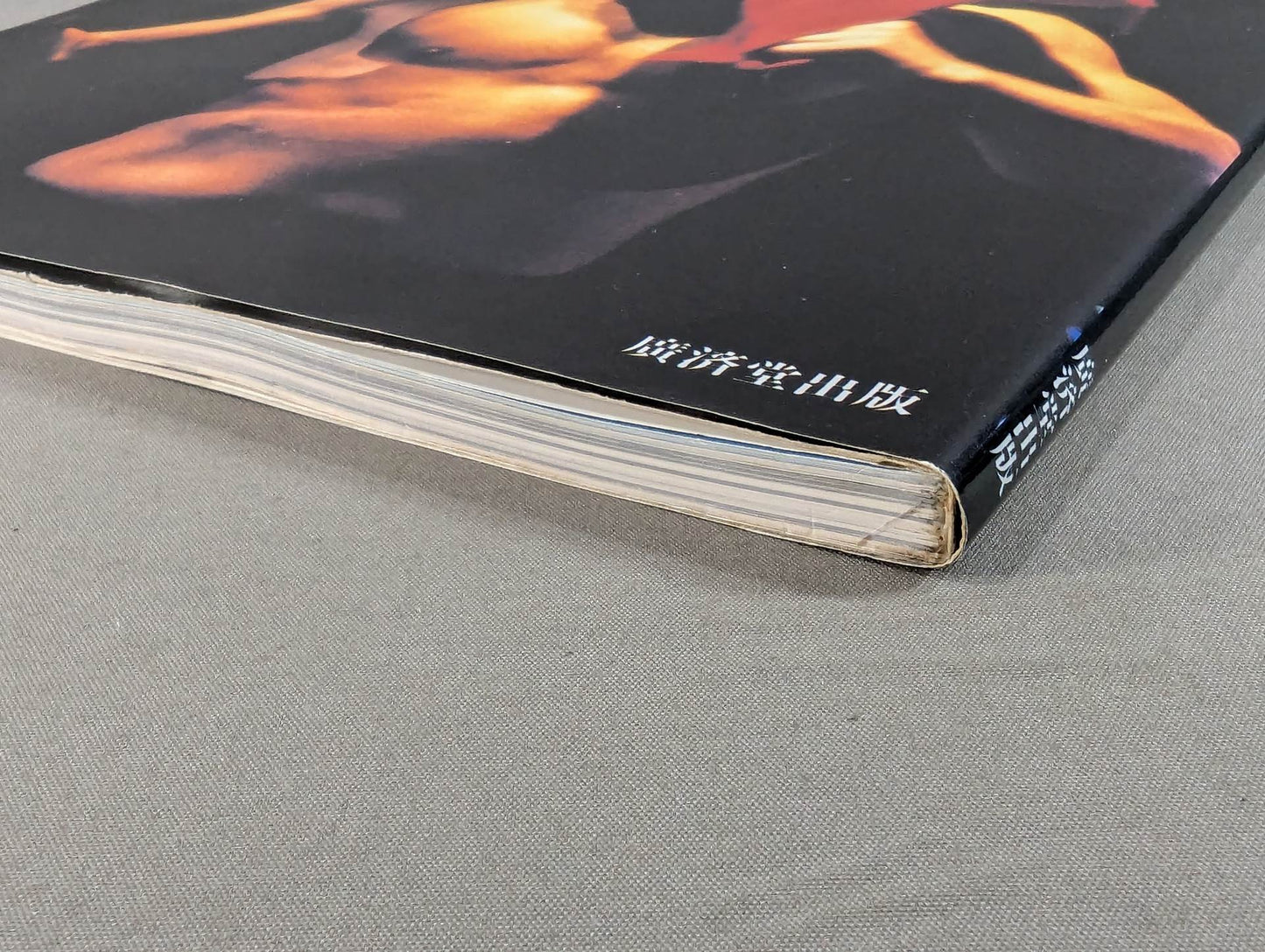 Fighting Spirit Burning Antonio Inoki 30th Anniversary Photo Collection