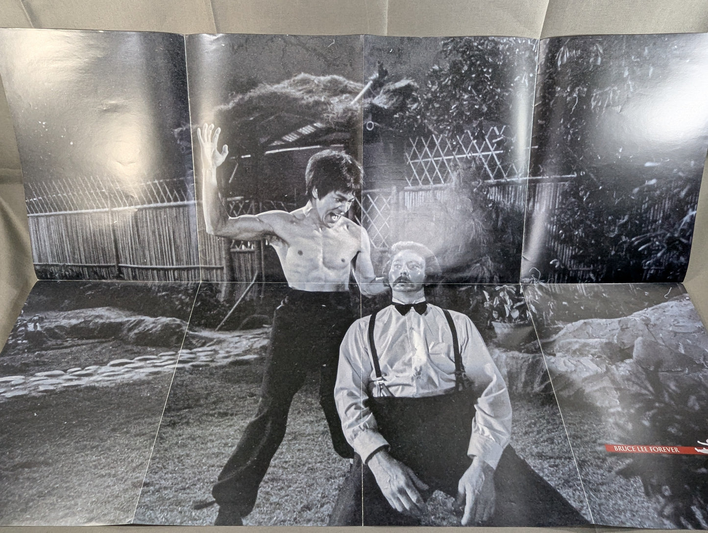 BRUCE LEE FOREVER :THE INTERCEPTING FIST EXCLUSIVE PREVIEW