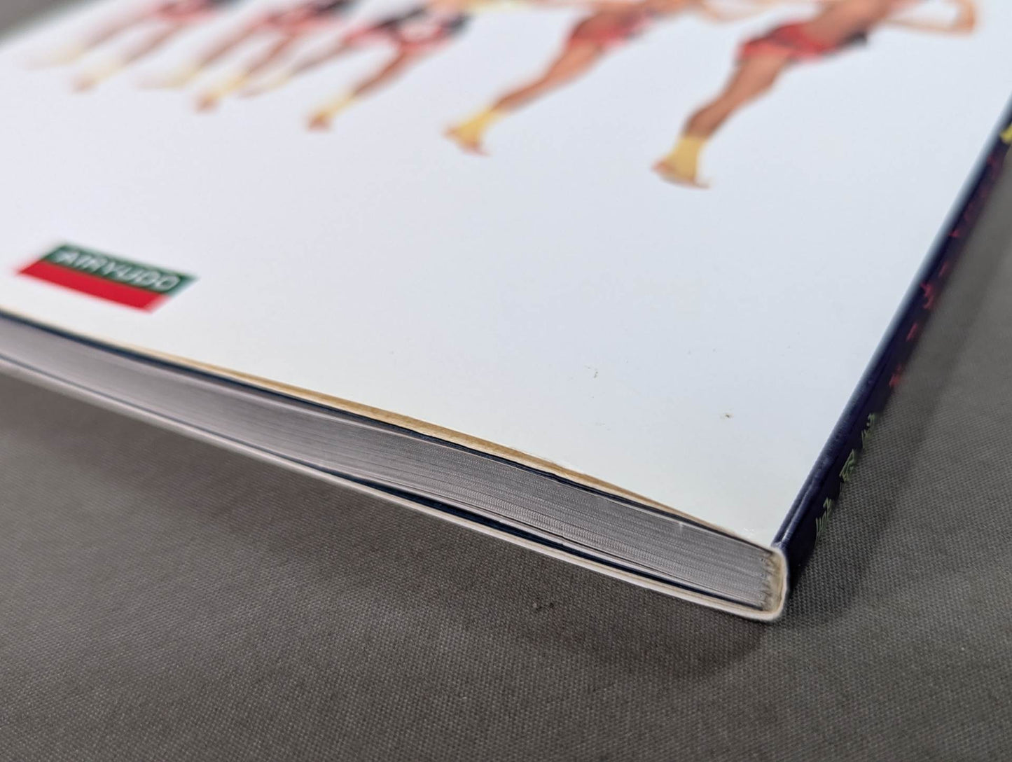 Muay Thai Bible with essential points