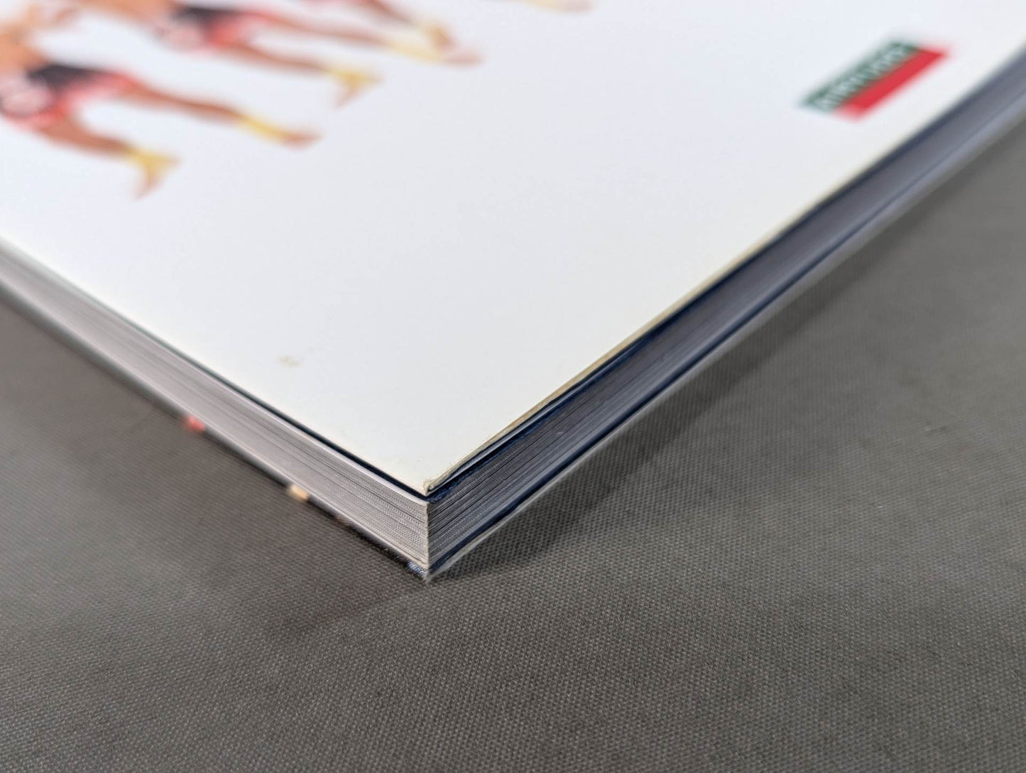 Muay Thai Bible with essential points