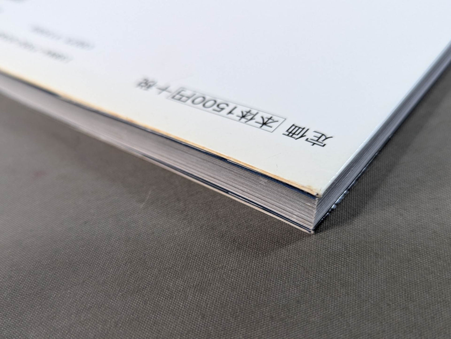 必須ポイントを押さえた ムエタイバイブル