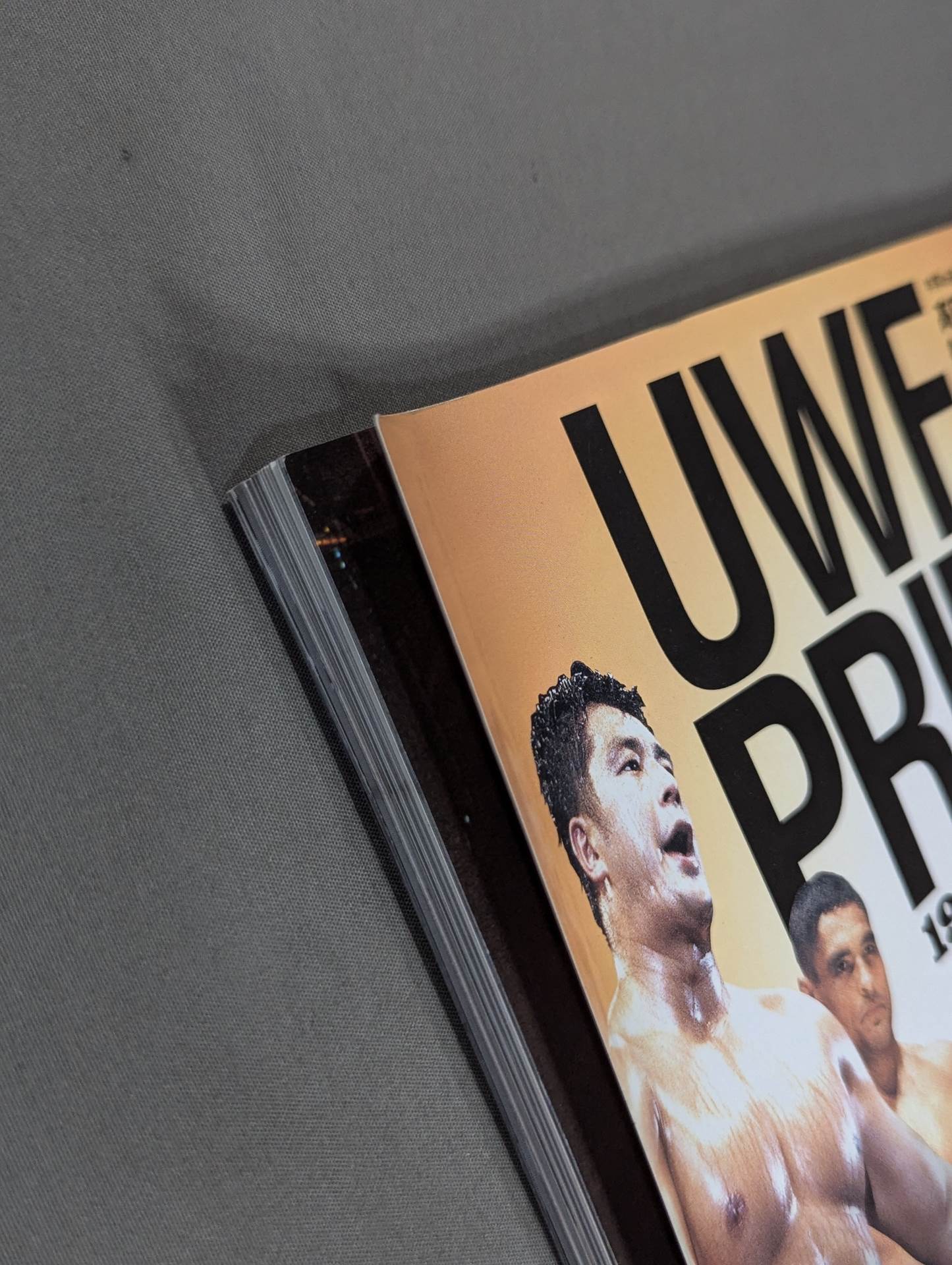 UWF→PRIDE 20 Years of Mixed Martial Arts 1984→2003