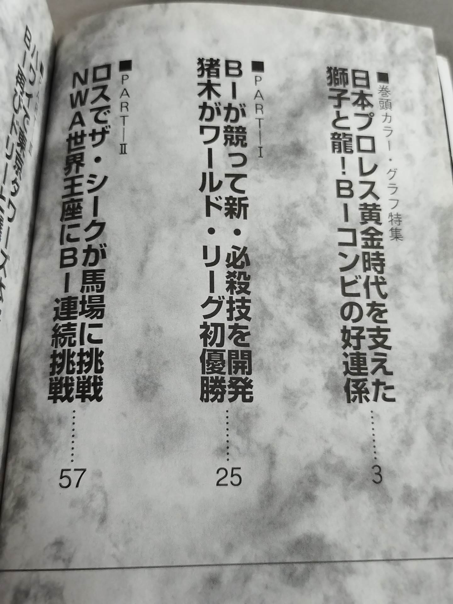 Giant Baba vs Antonio Inoki 1891 Days of Honeymoon Cold War Second Volume