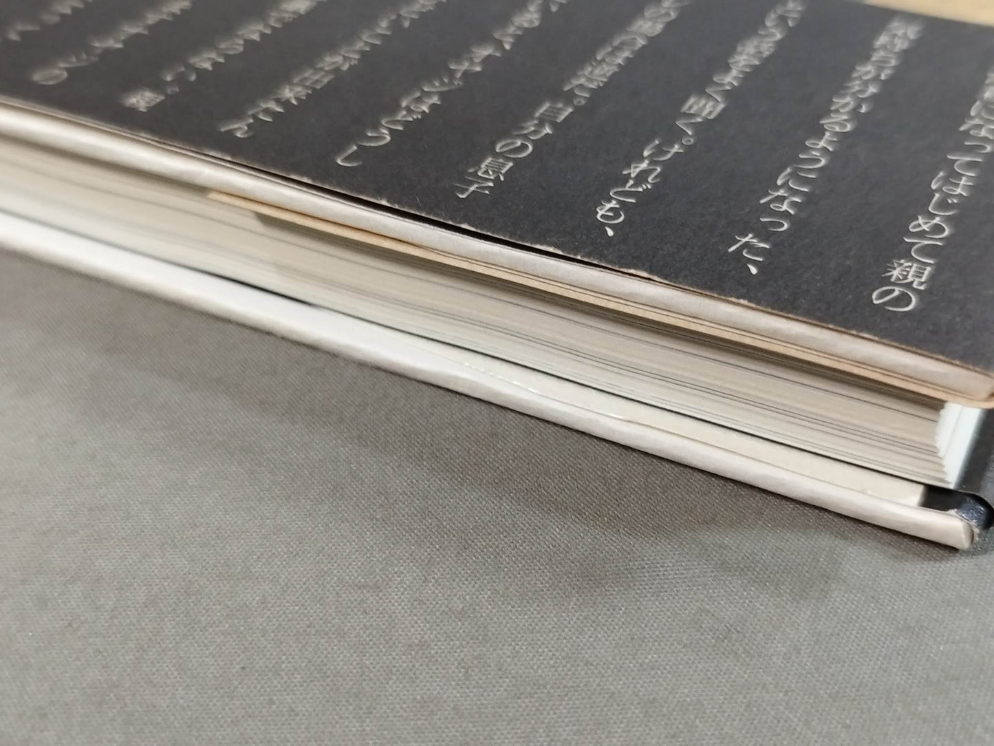 Seize the light! Kensuke Sasaki Autobiography