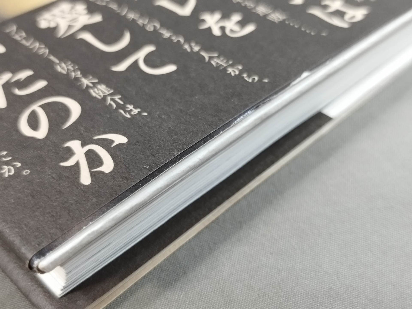 Seize the light! Kensuke Sasaki Autobiography