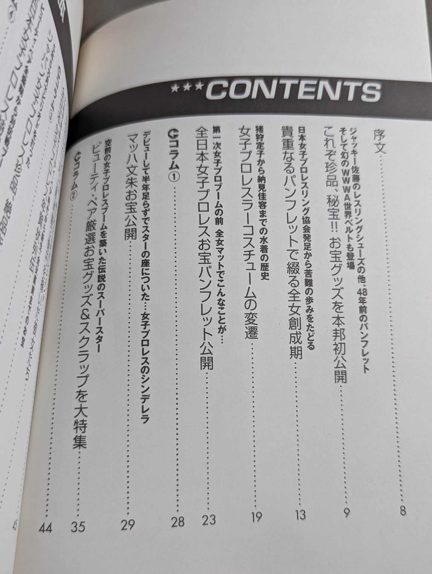 Women's Pro Wrestling Immortal Treasure Reading Book