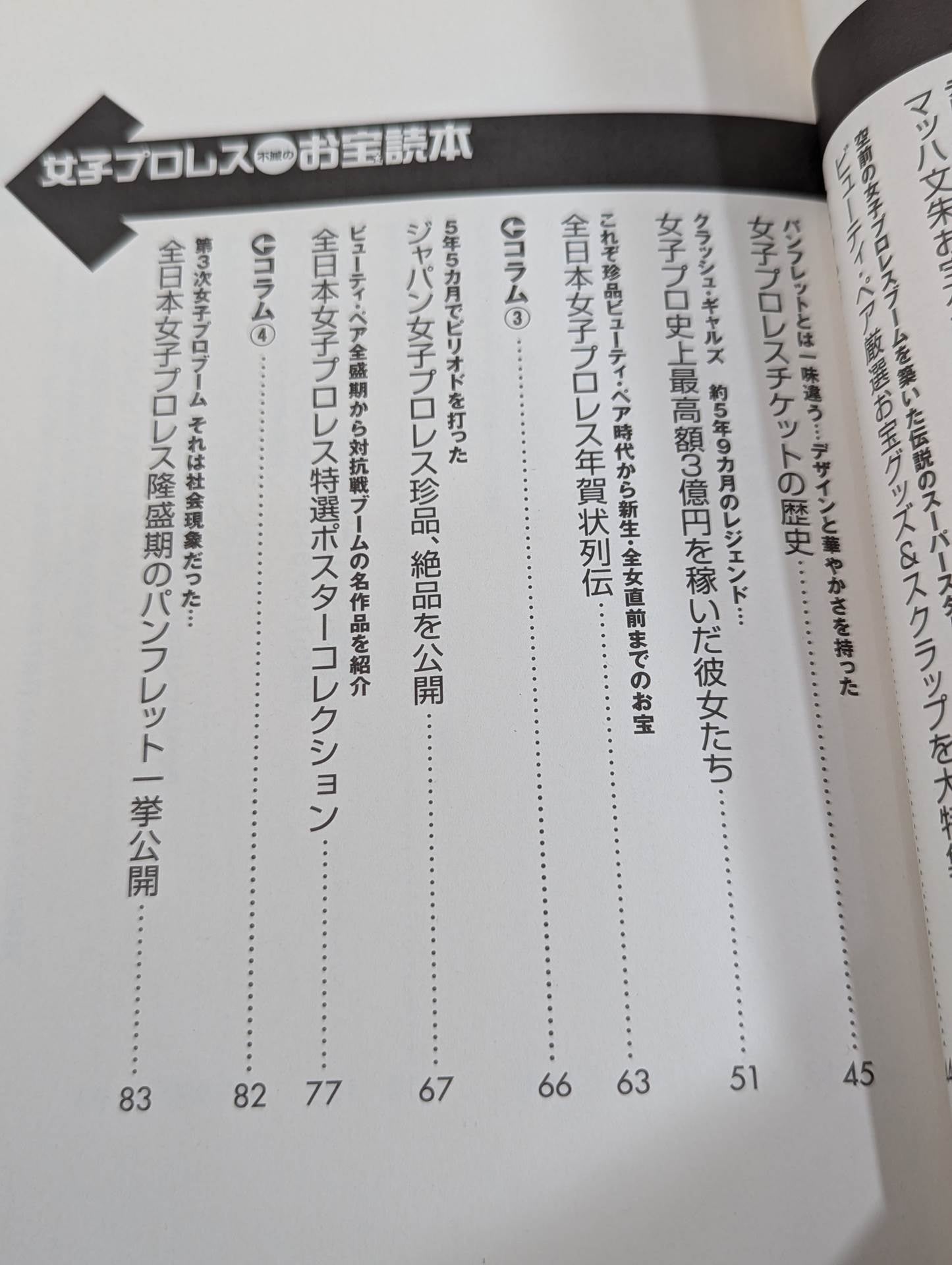 Women's Pro Wrestling Immortal Treasure Reading Book