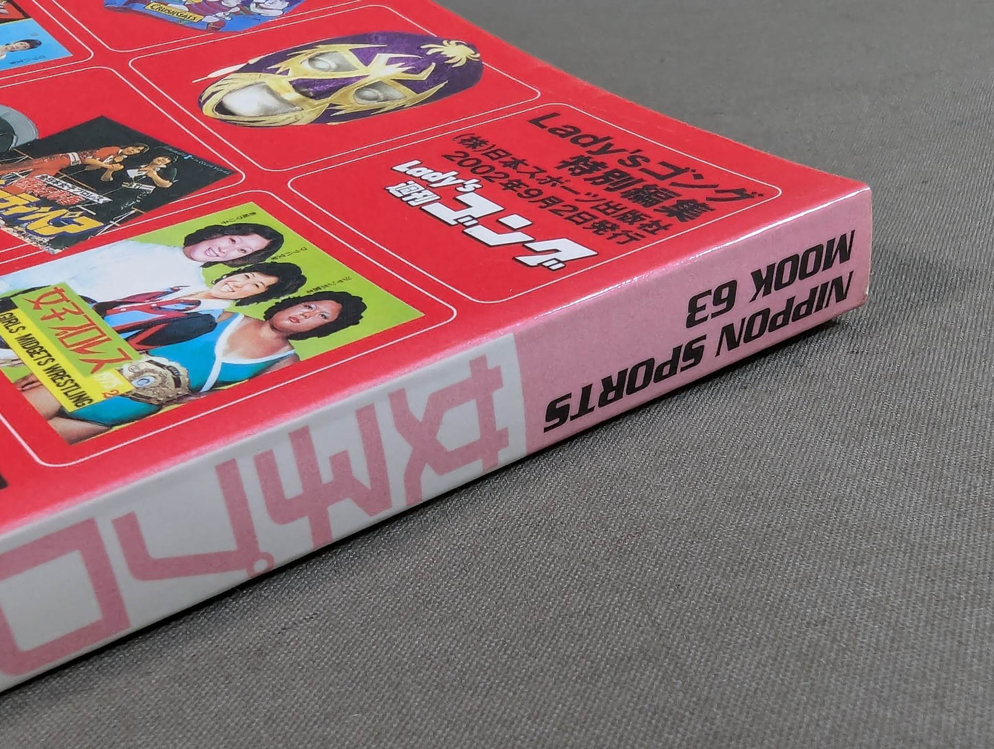 Women's Pro Wrestling Immortal Treasure Reading Book