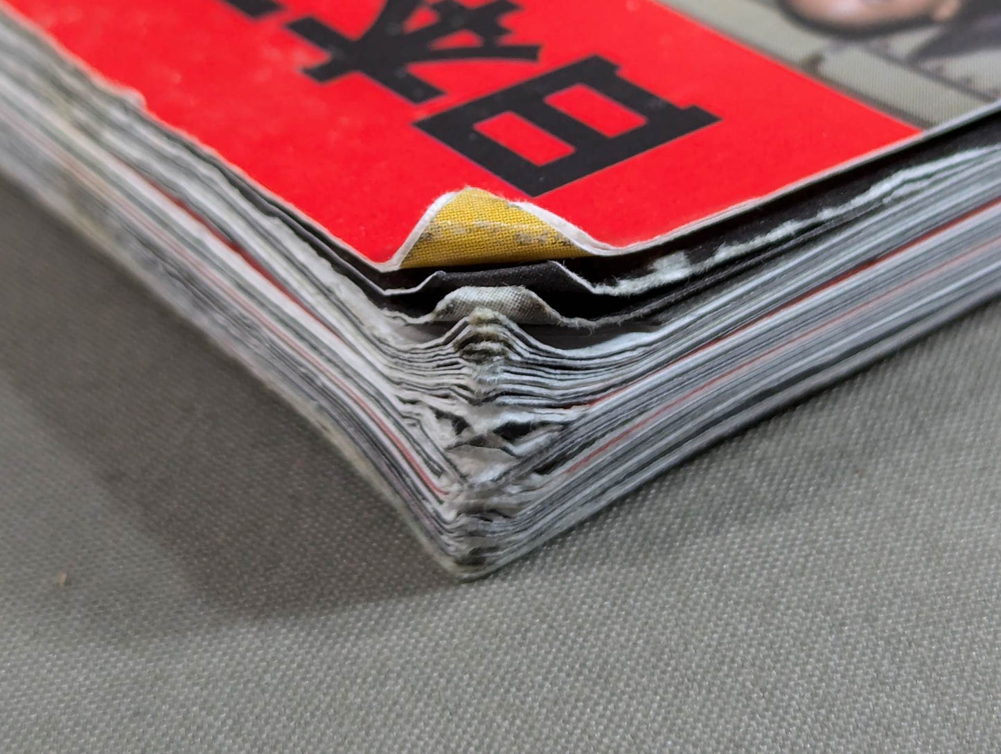The truth told by an eyewitness to the history of Japan's Pro Wrestling! I'm still on the battlefield! 〈Lion Scroll〉
