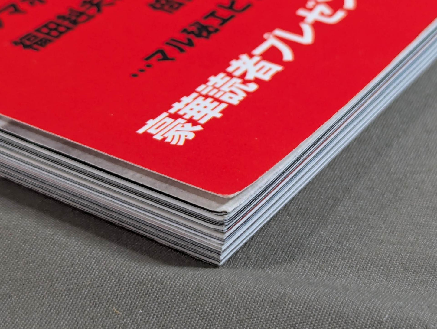The truth told by an eyewitness to the history of Japan's Pro Wrestling! I'm still on the battlefield! 〈Lion Scroll〉