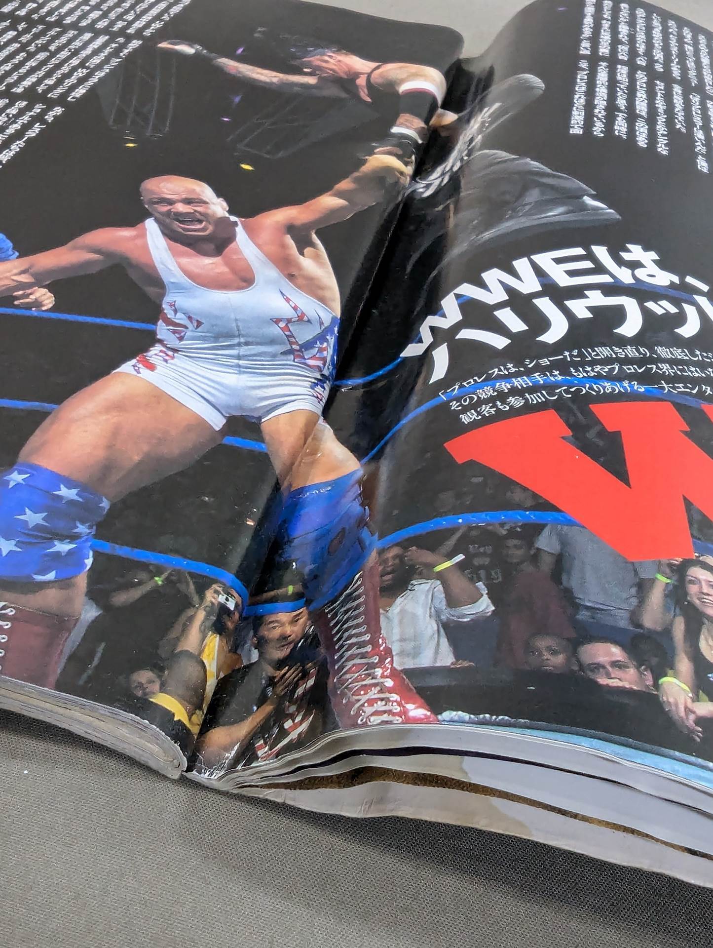 PLAYBOY No.352★ Torrie Wilson and Sable, Naked Off-Site Brawl ★