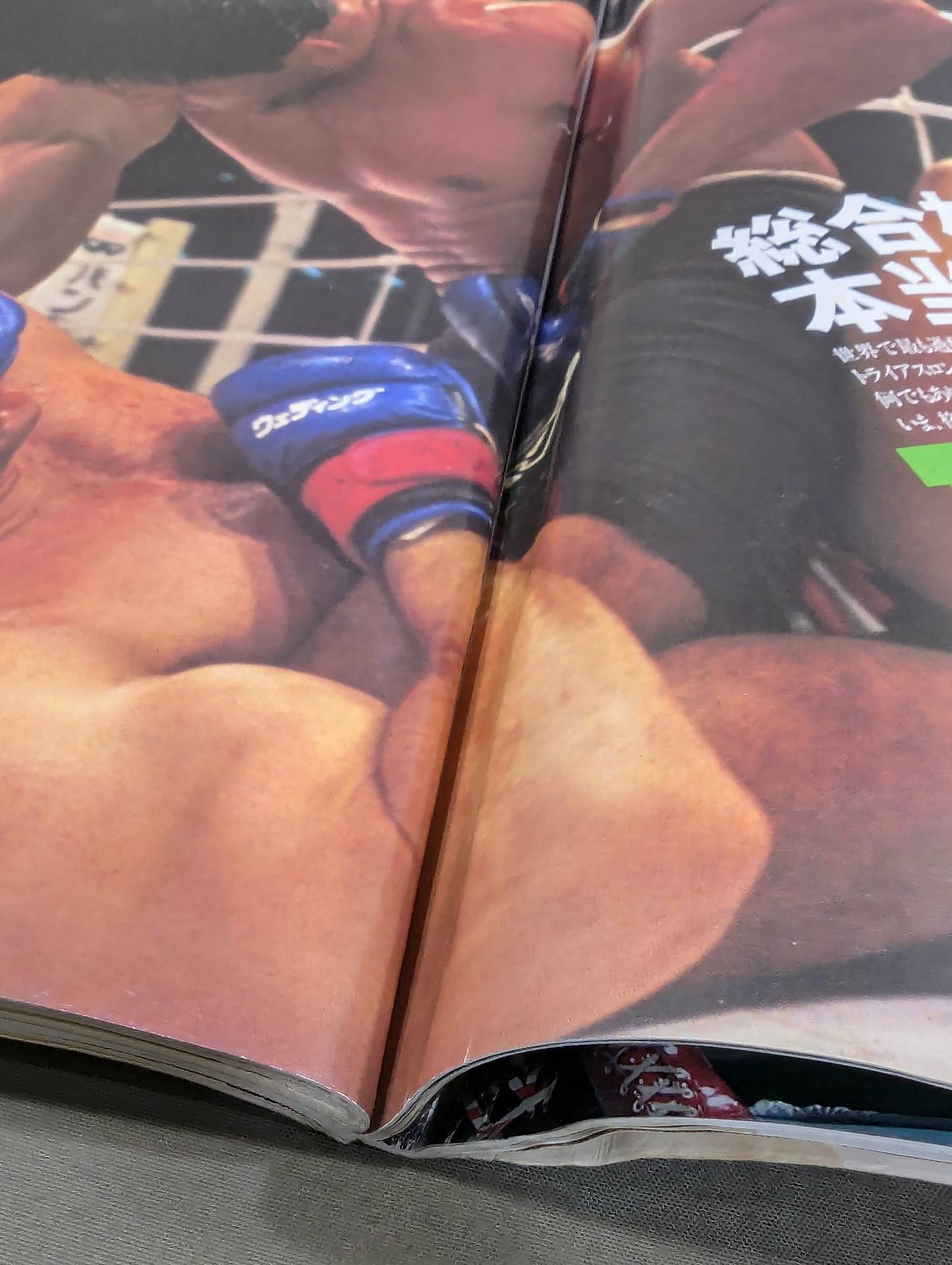PLAYBOY No.352★ Torrie Wilson and Sable, Naked Off-Site Brawl ★