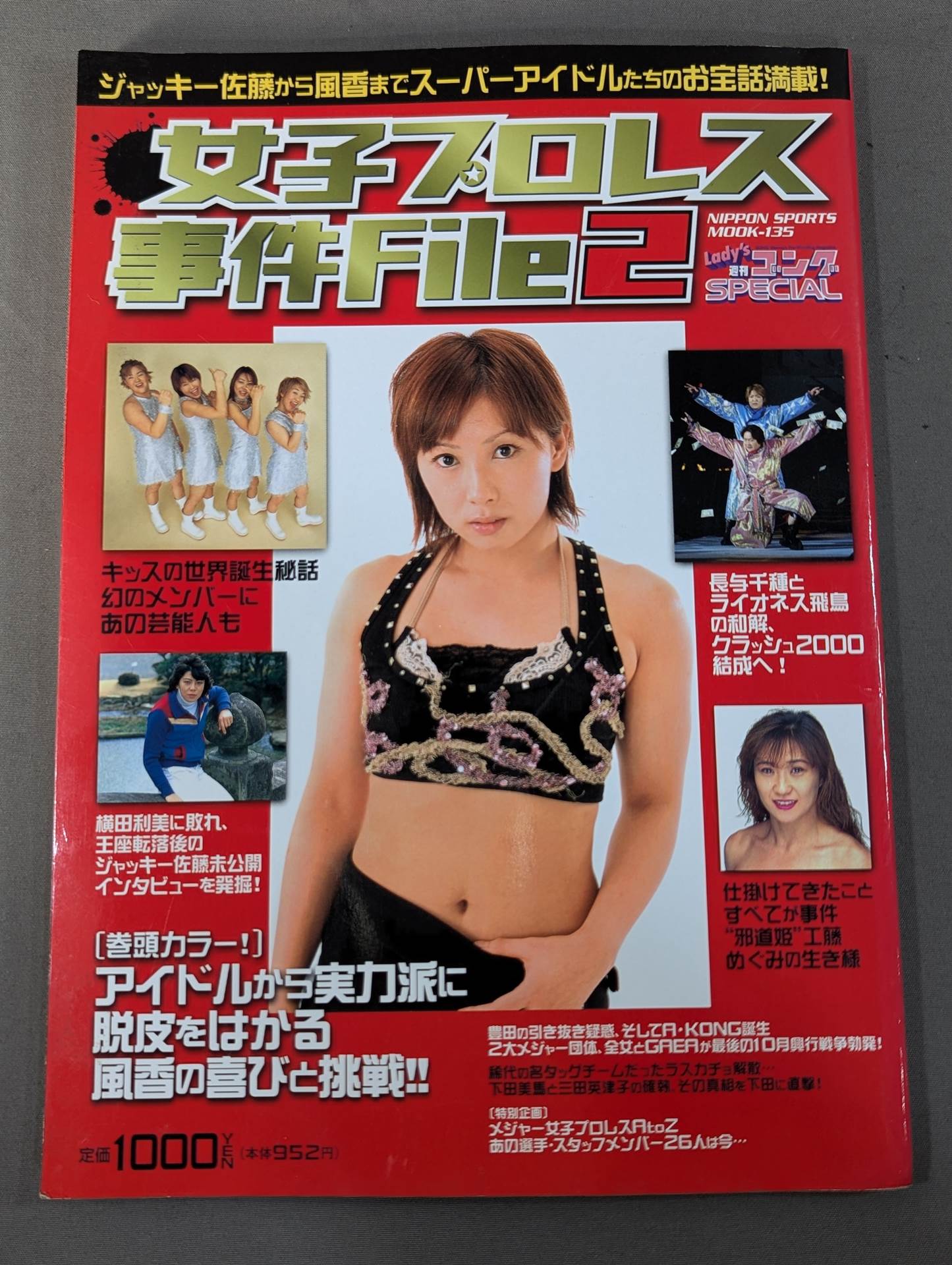 Women's Pro Wrestling Incident File2