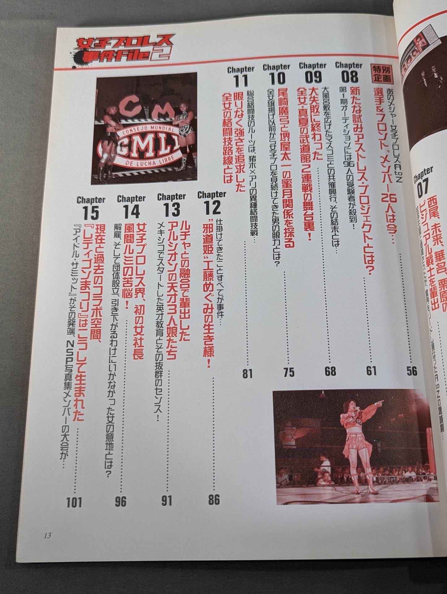 Women's Pro Wrestling Incident File2