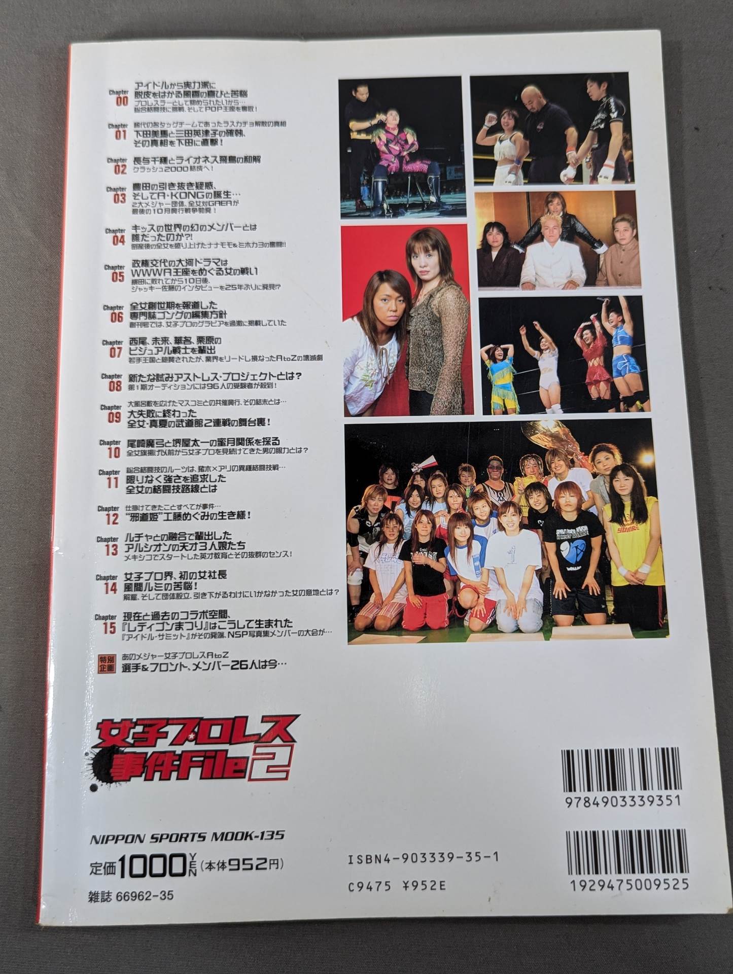 Women's Pro Wrestling Incident File2