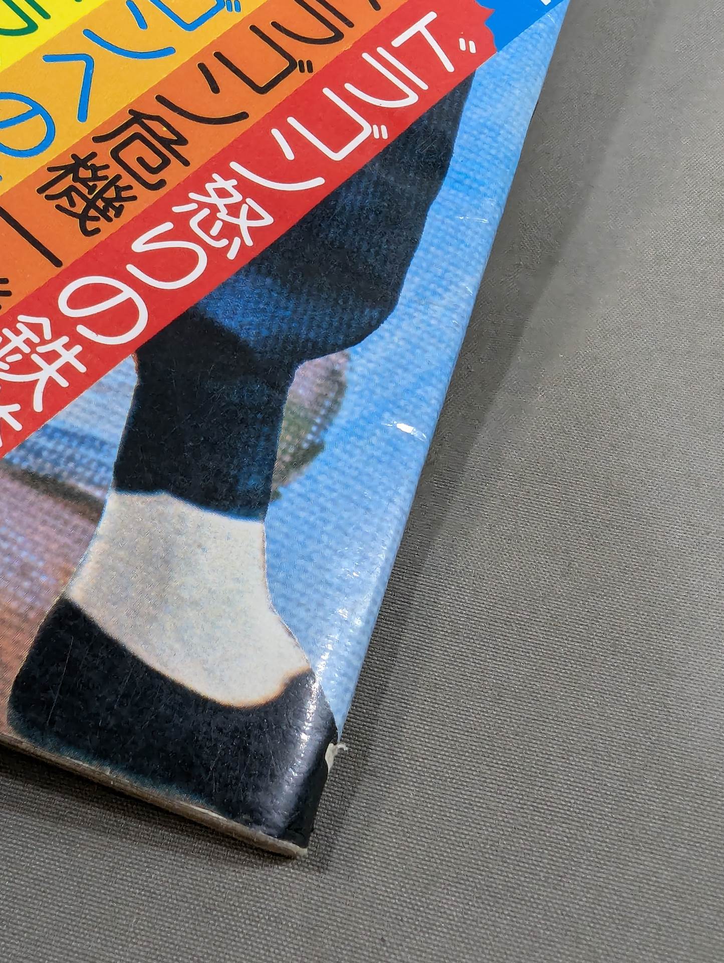 別冊朝日ソノラマ アクションパンチ ブルース・リー ドラゴン