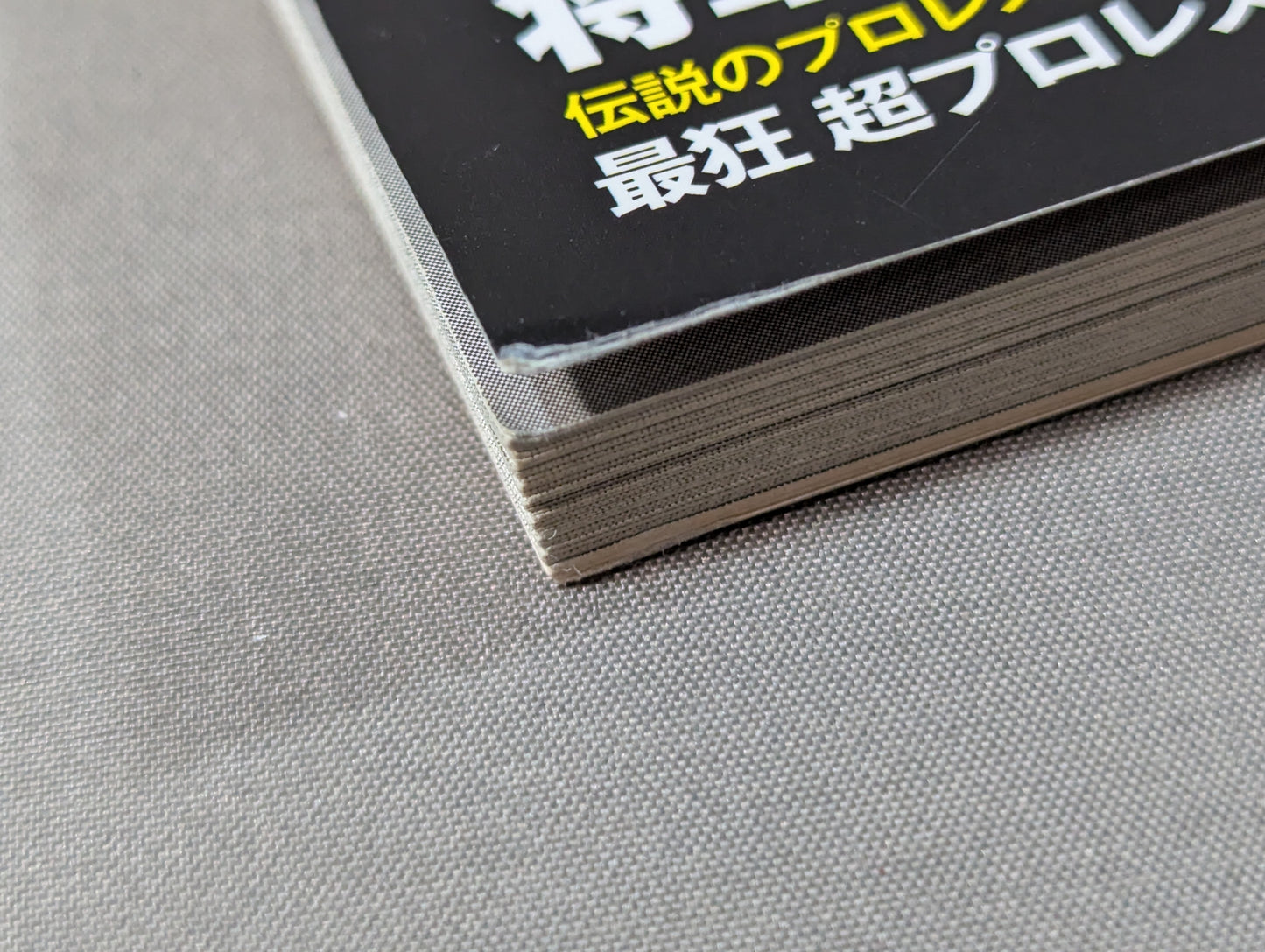 俺たちのプロレス Vol.9 今だから明かせる!レジェンドたちの13名の「証言」 長州力×天龍源一郎