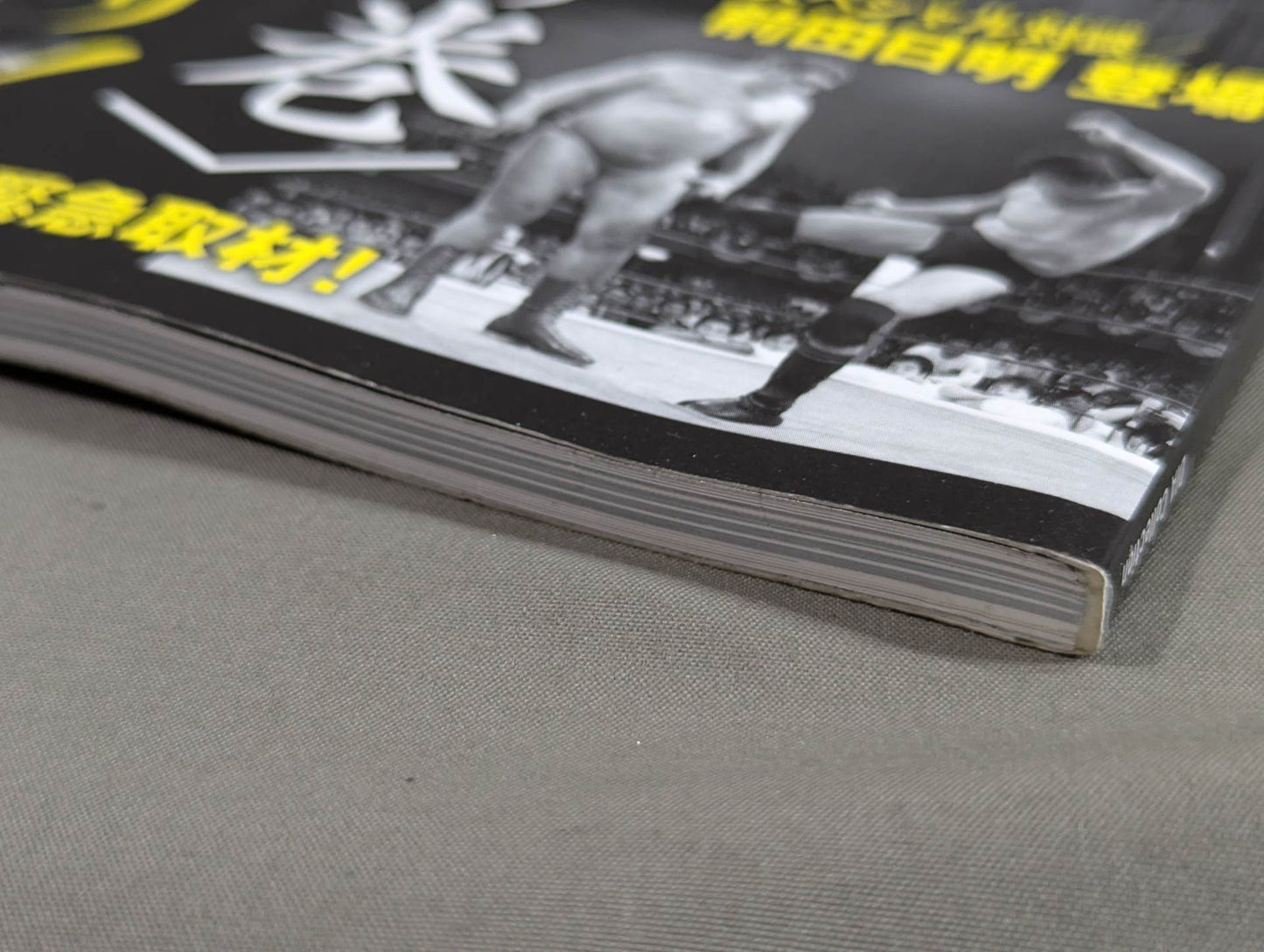 The Radical History of Pro Wrestling in Japan: Hisashi Shinma's Self Is Still on the Battlefield!