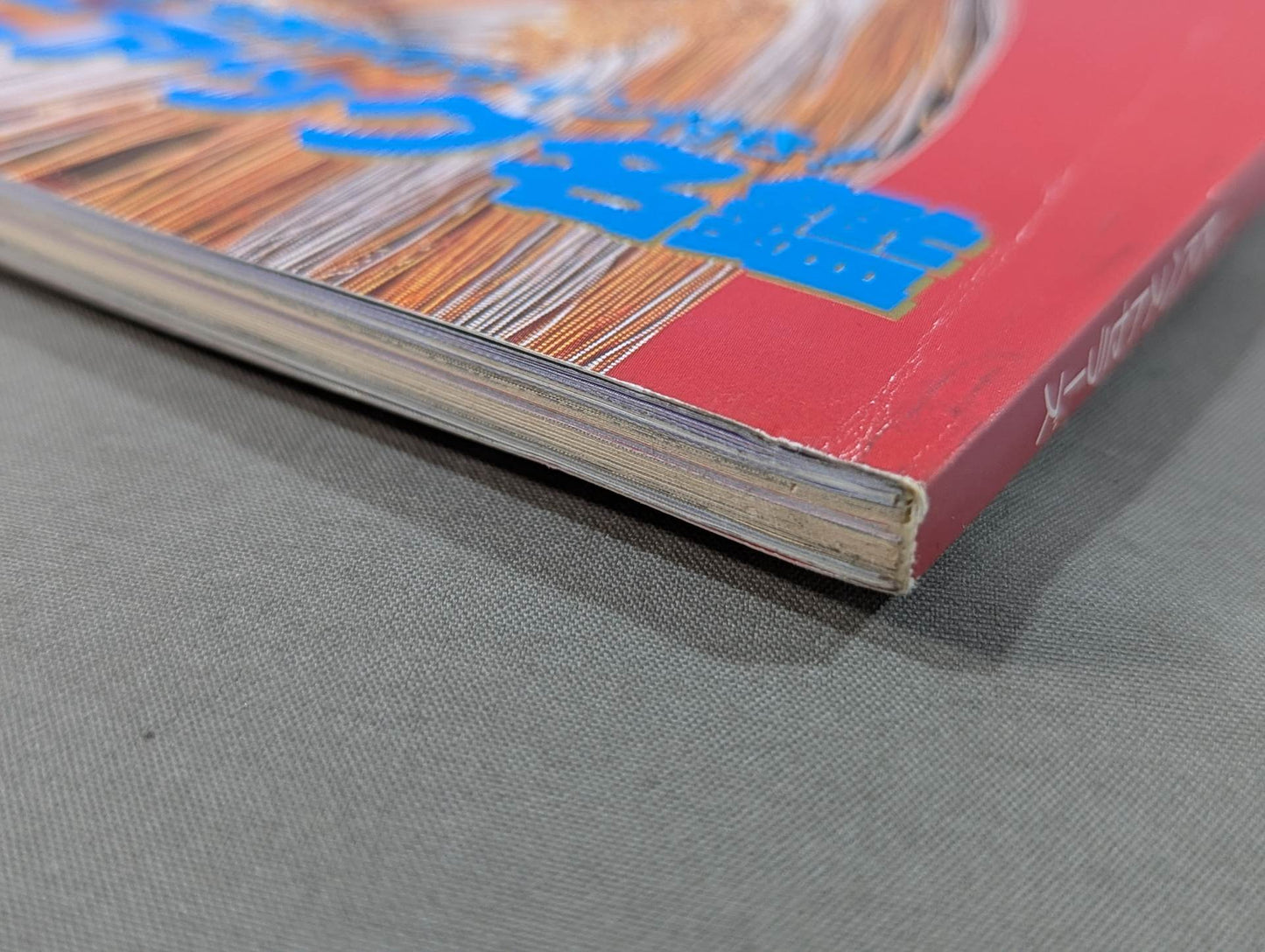 Women's Pro Wrestling SUPER BOOK! Akira Hokuto ~ Mexico Exclusive Close-up