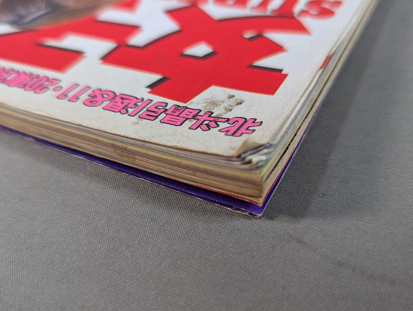 Women's Pro Wrestling SUPER BOOK!2 All-Out Special Feature, Hokuto Retirement & Tokyo Dome Commemorative Issue
