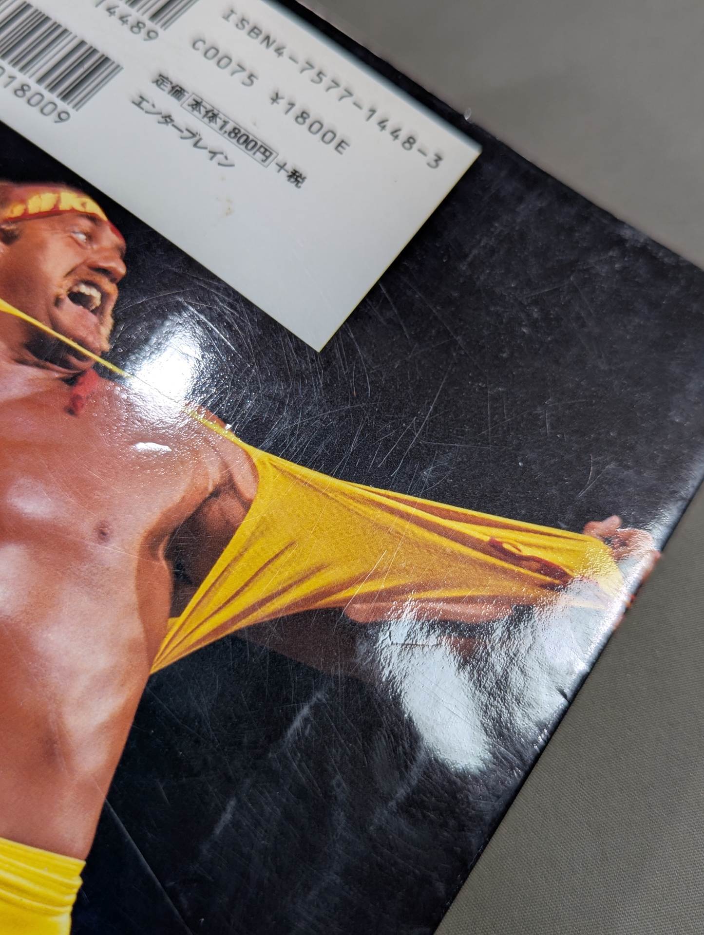 Hulk Hogan Autobiography Hollywood Hulk Hogan