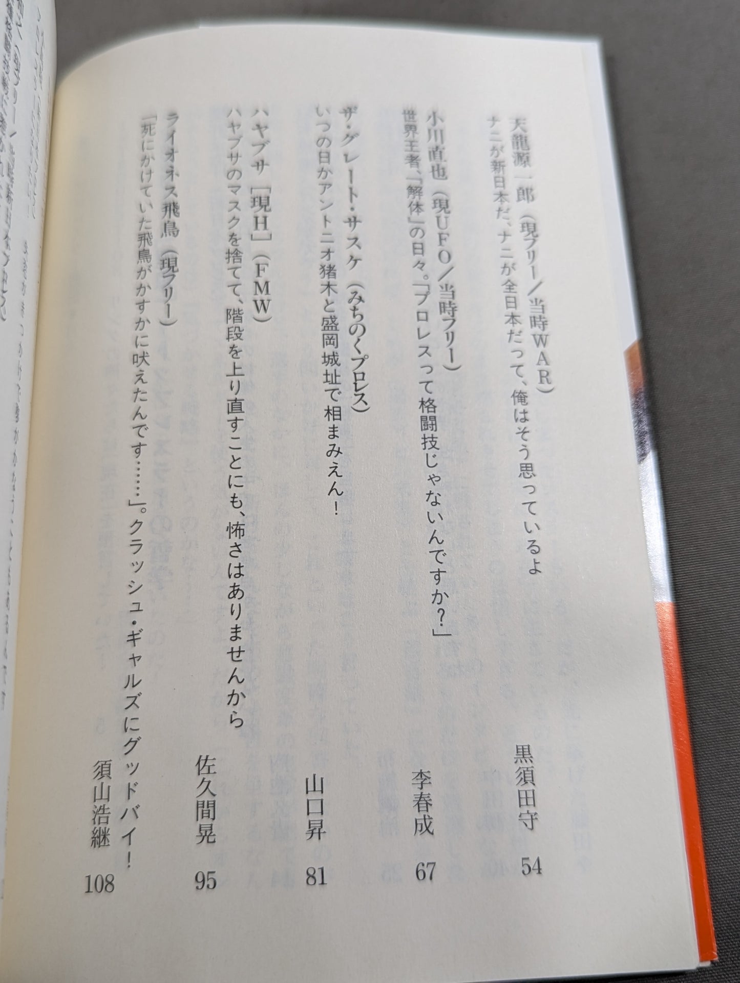 激白 プロレスラー烈伝