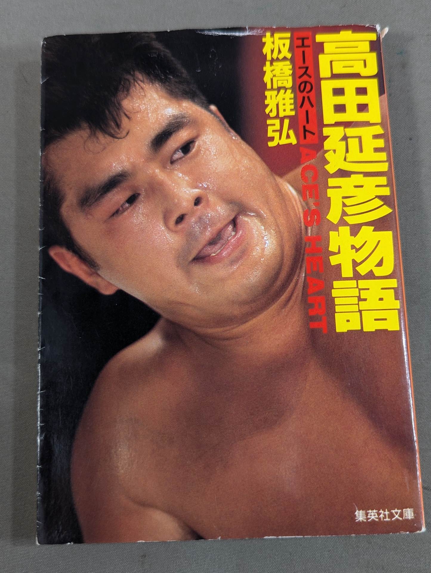 Nobuhiko Takada's story Ace's heart