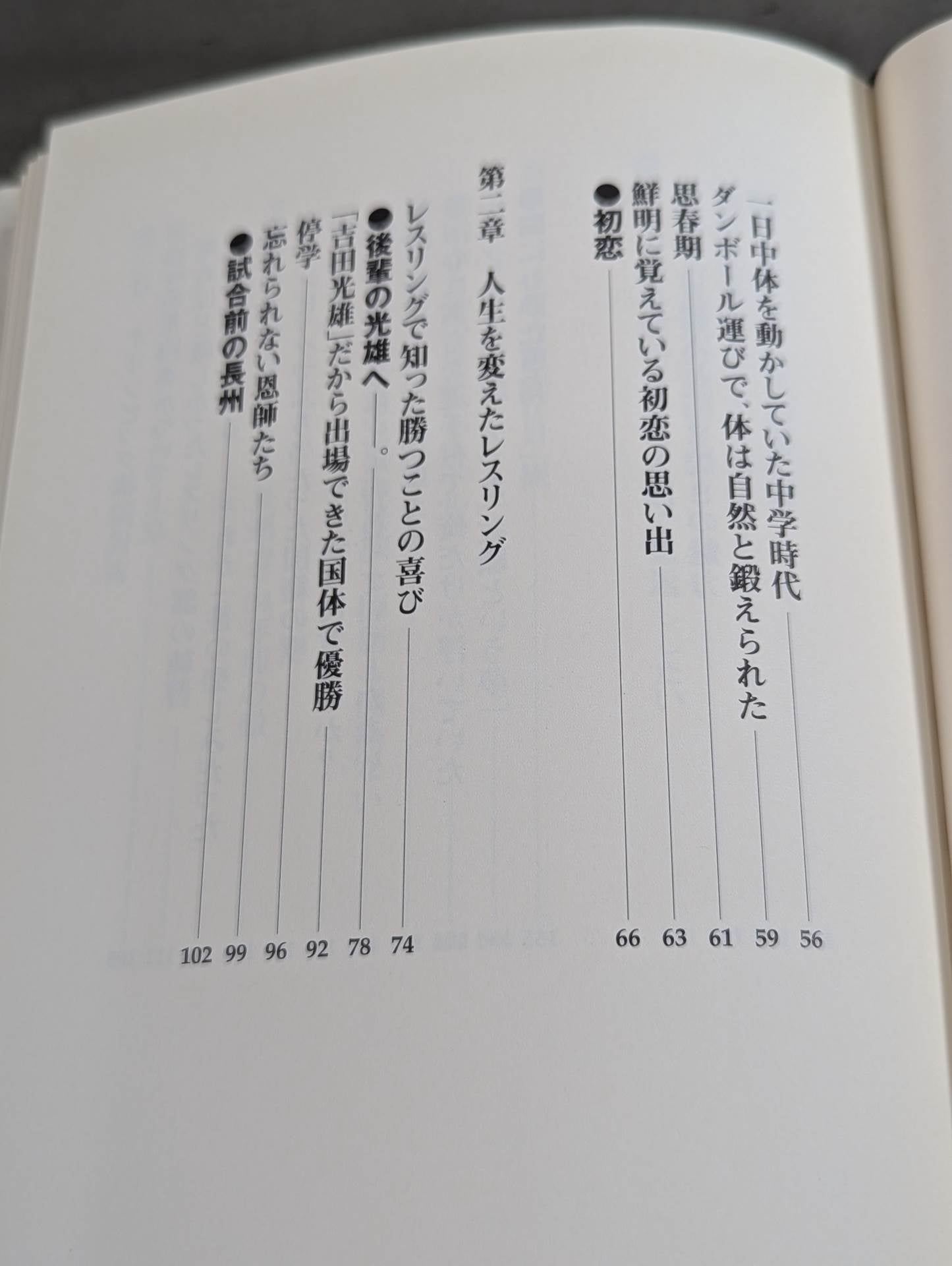Rebellious ism: The light and shadow of Riki Choshu