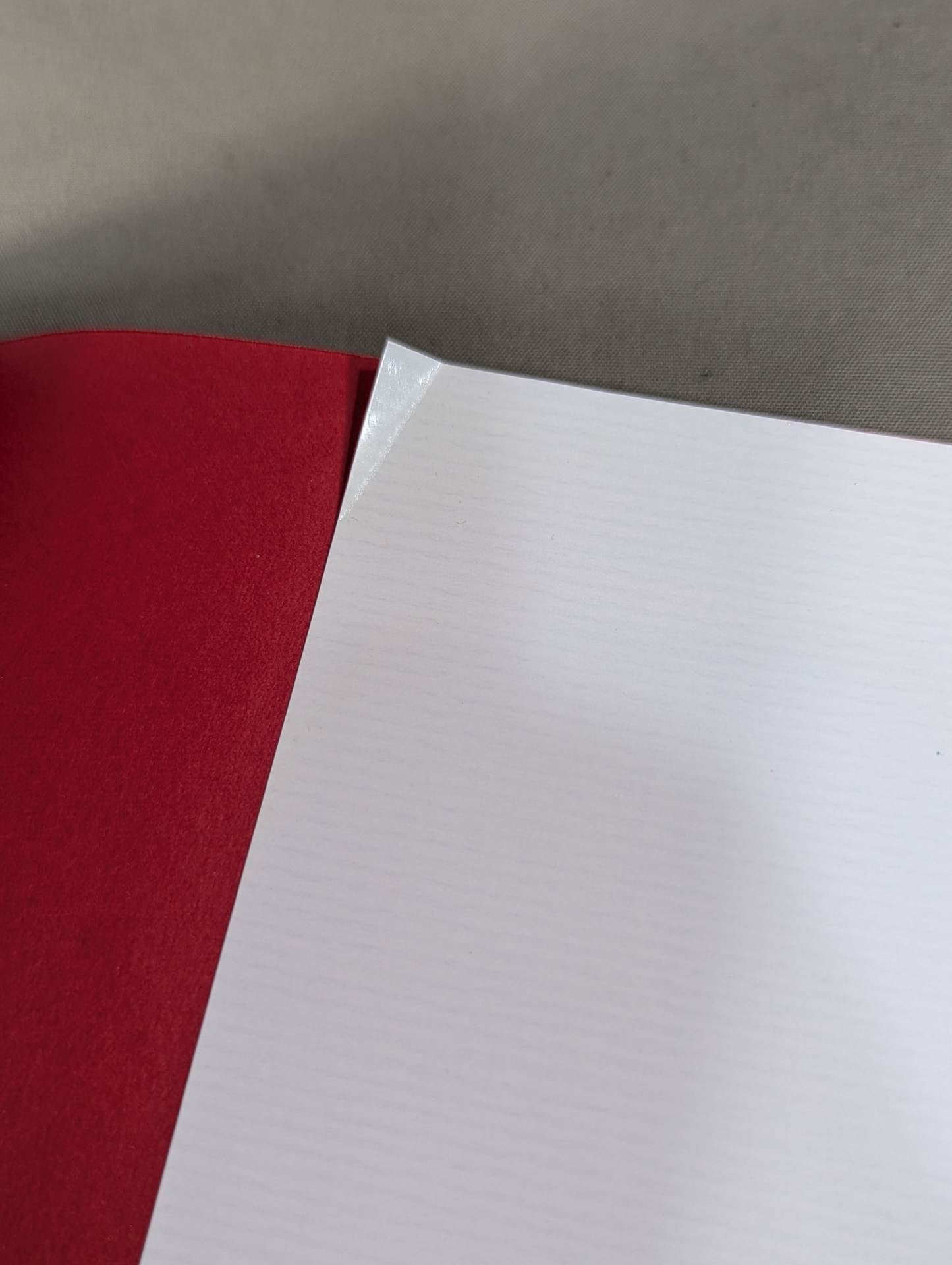 International Pro Wrestling in the Tokyo 12 Channel Era