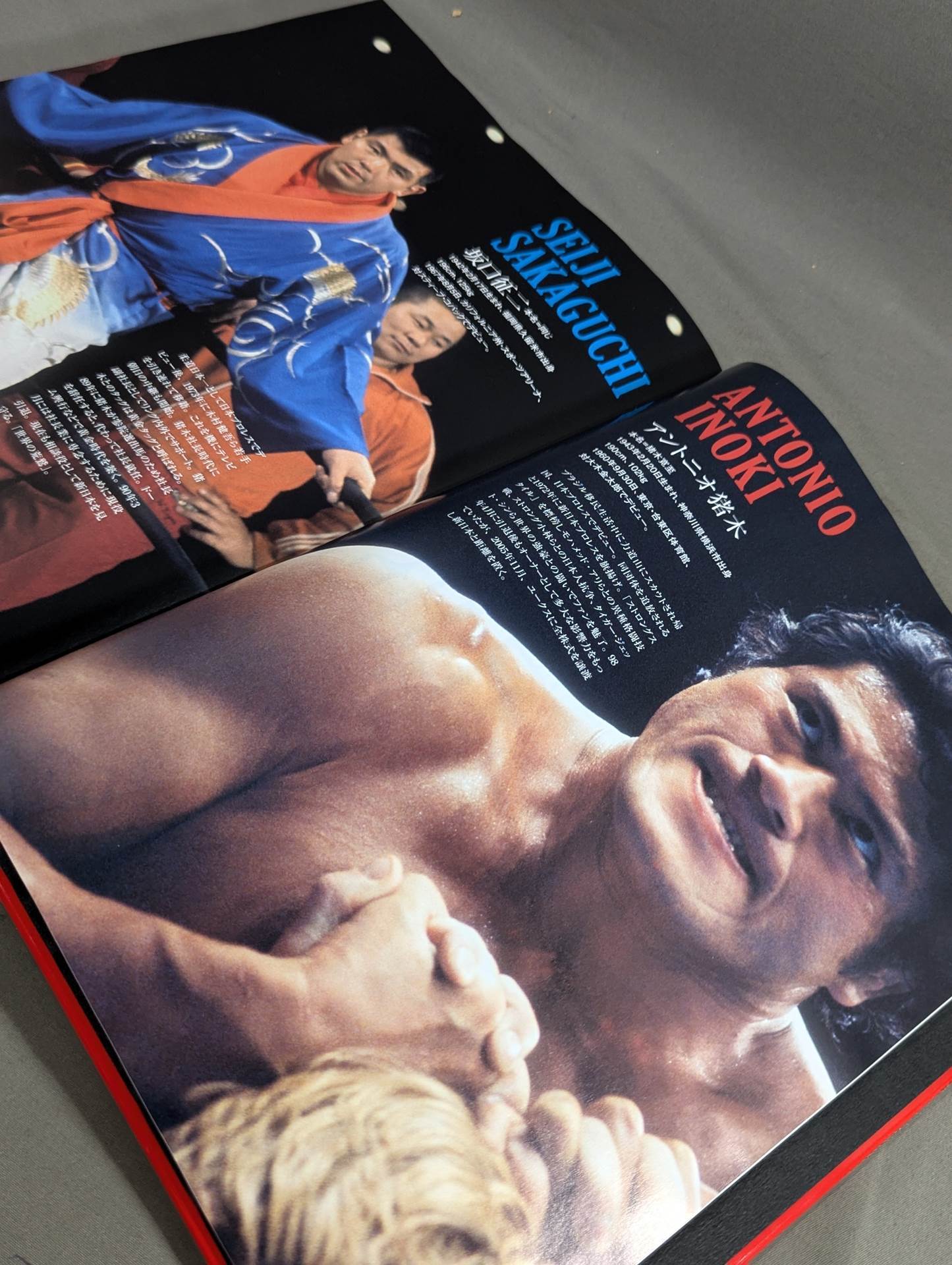 New Japan Pro Wrestling 40 Years History《40th Anniversary Treasured Edition》