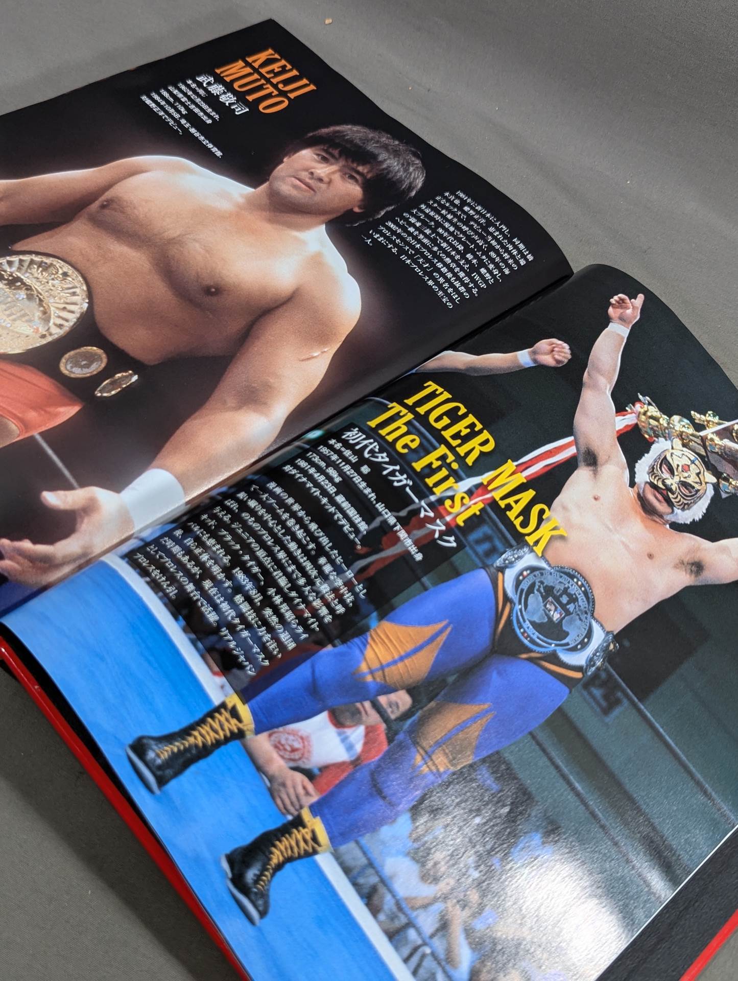 New Japan Pro Wrestling 40 Years History《40th Anniversary Treasured Edition》