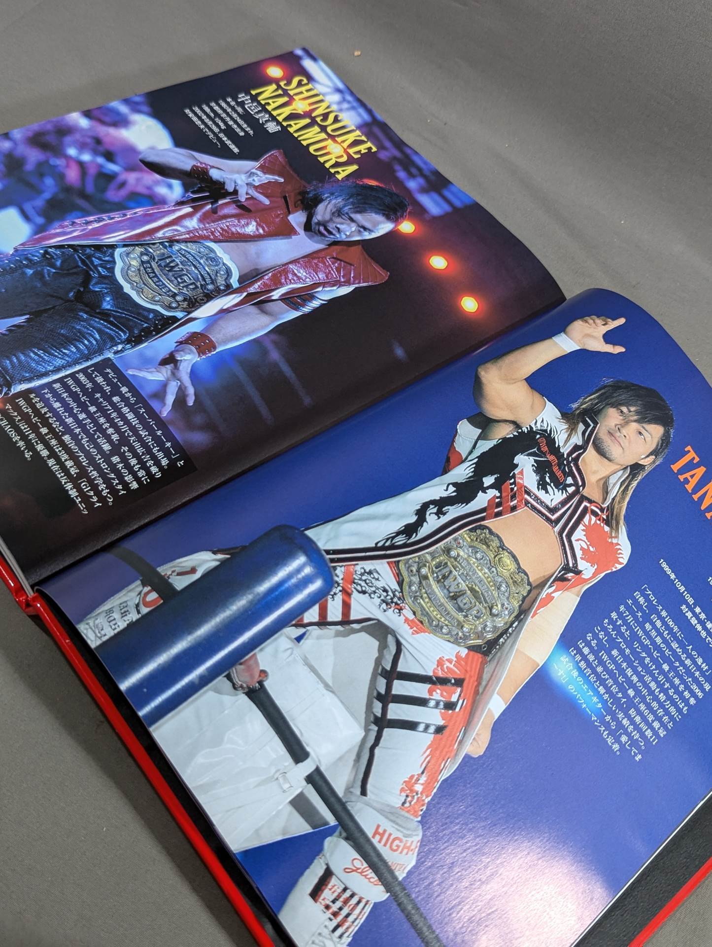 New Japan Pro Wrestling 40 Years History《40th Anniversary Treasured Edition》